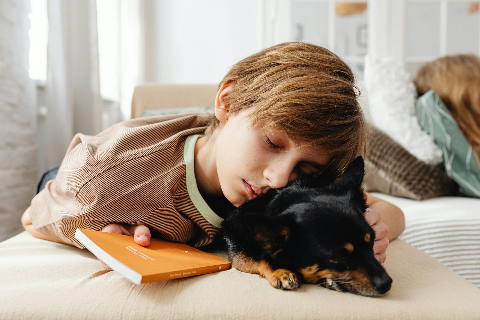 Heroic Dog Locates Missing Boy in the U.S. - A Heartwarming Tale - News