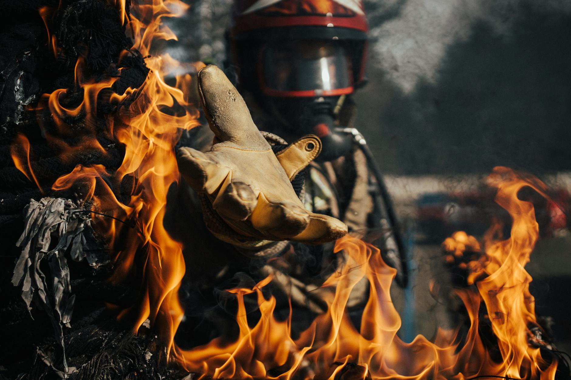 Heroic Firefighter Rescues and Revives Two Cats from Flames - News