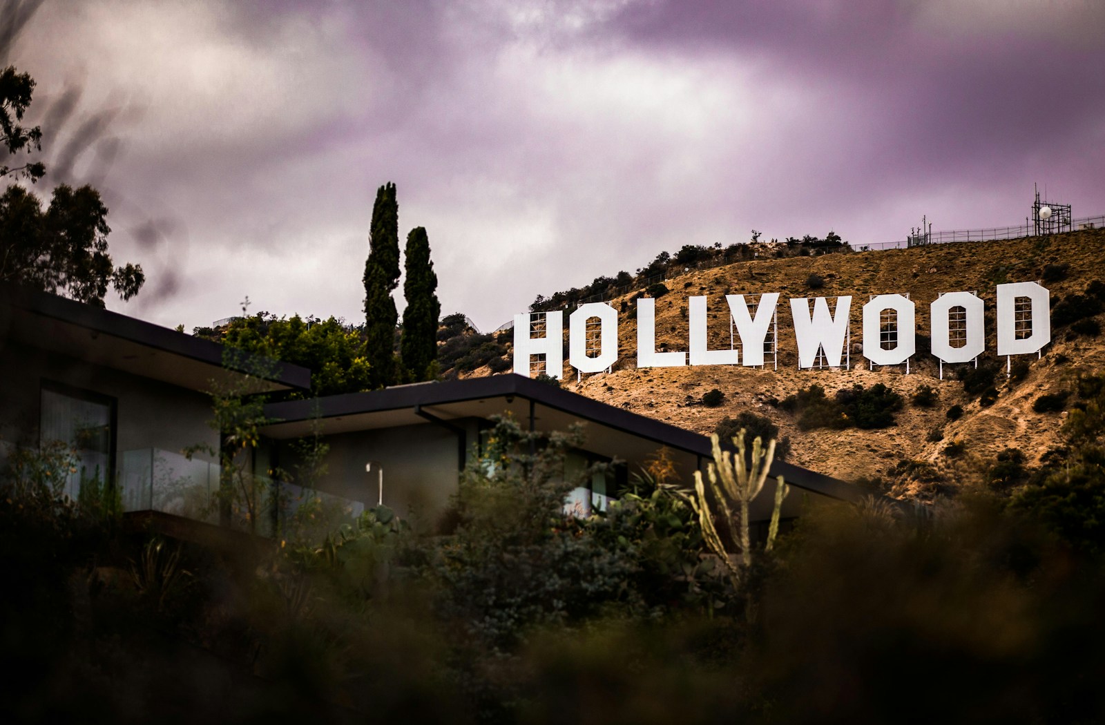 Hollywood's New Adult Thrillers: Are They Worth the Hype? - Cinema