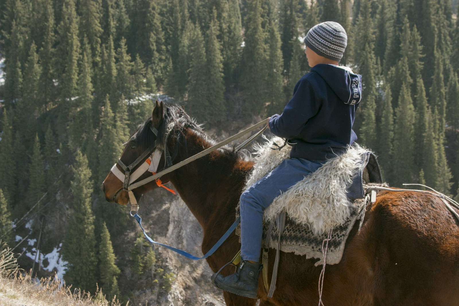 Explore Horseback Riding Adventures in the Year of the Horse