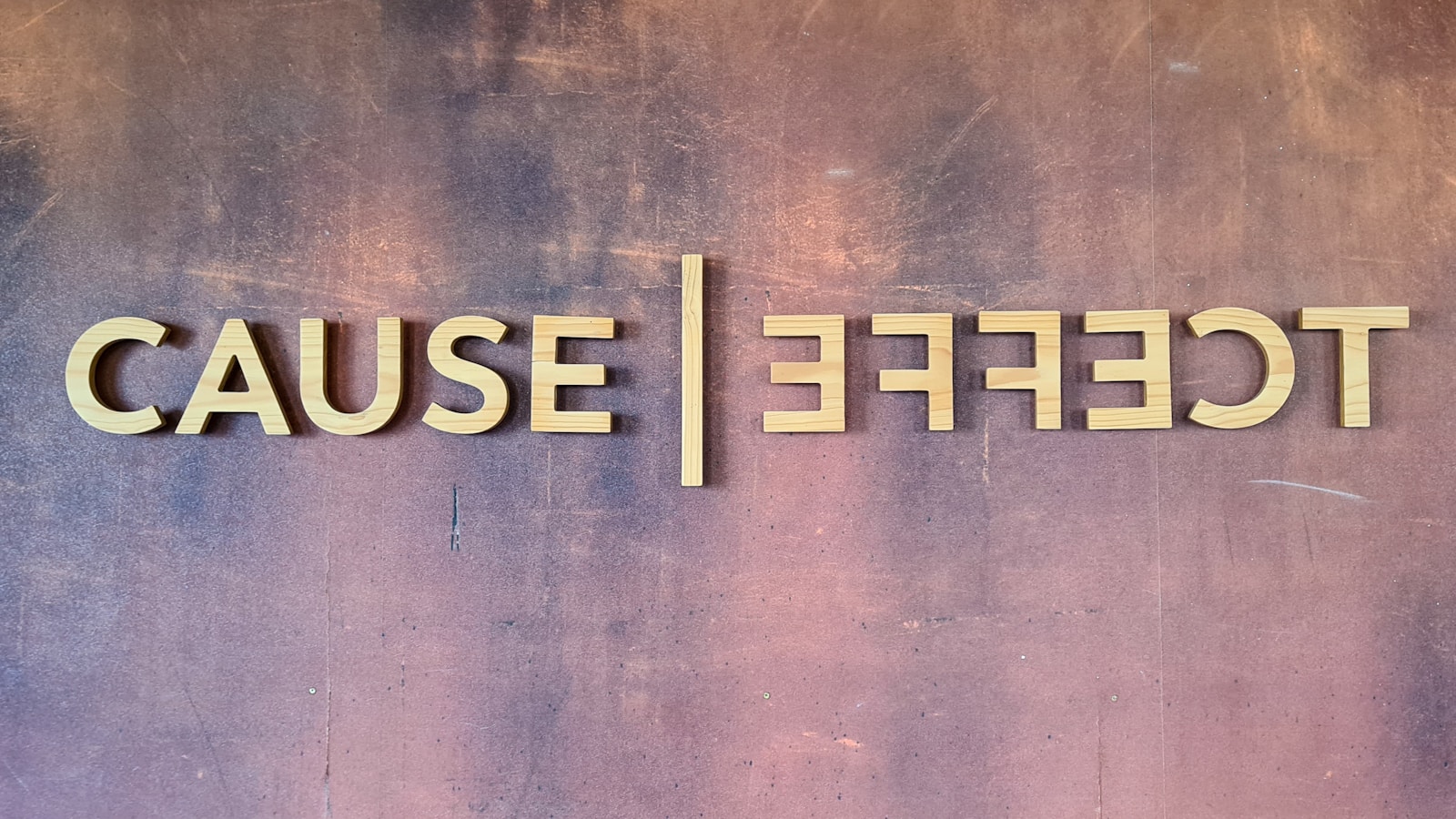 House of the Dragon Set for a Fourth Season: What to Expect