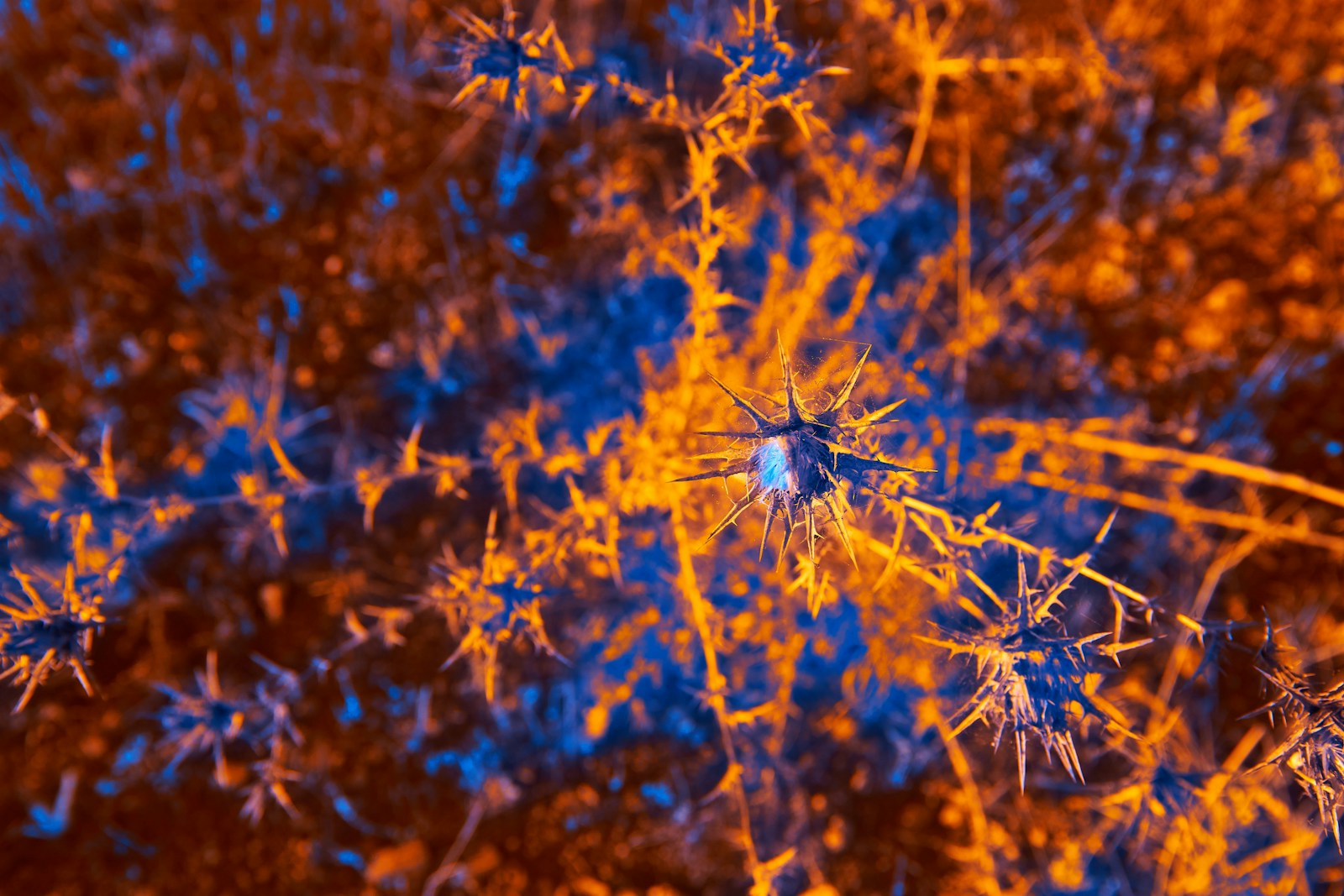 Human Brain Cells Play Doom on a Living PC: A Scientific Marvel - Tech