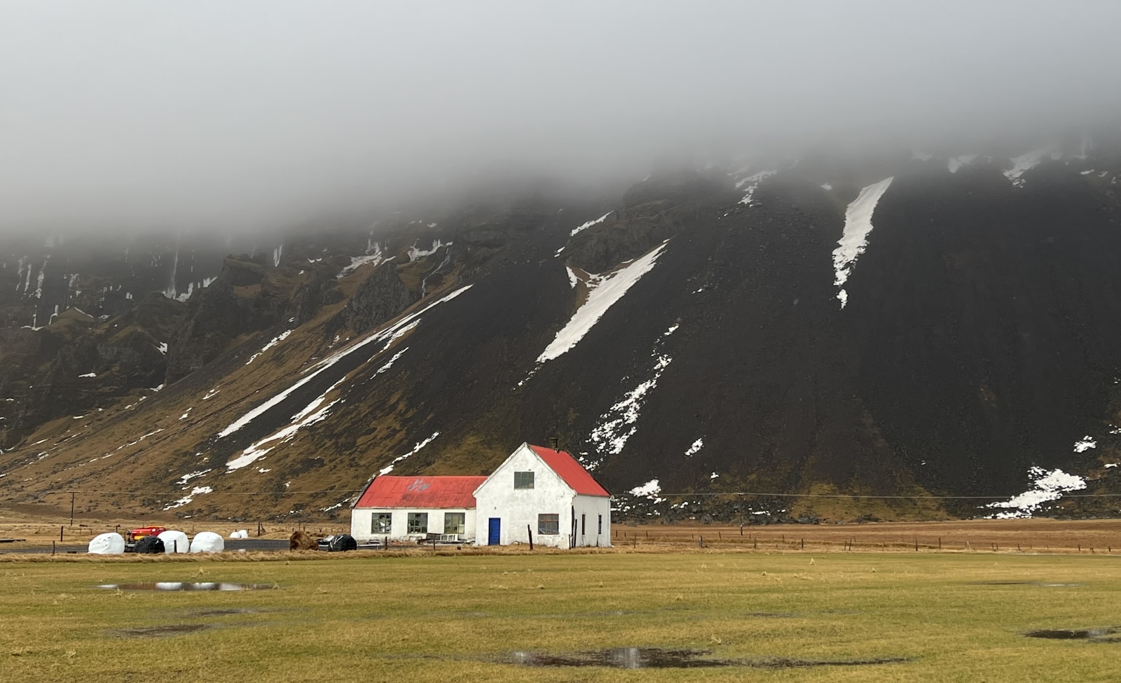 Iceland Welcomes Its First Mosquitoes: A Surprising Discovery