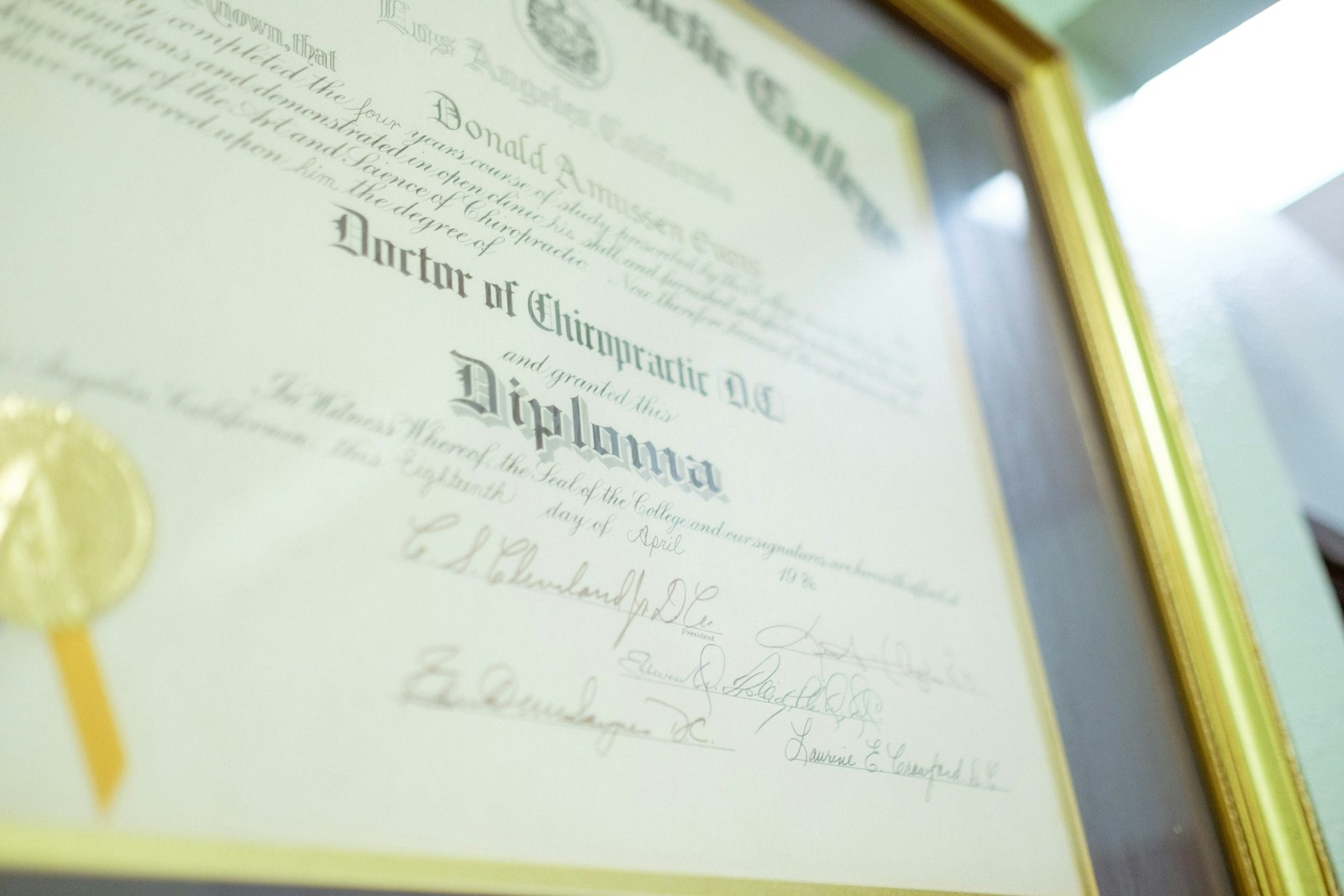 Jeremy Allen White Receives High School Diploma at 34 Years Old