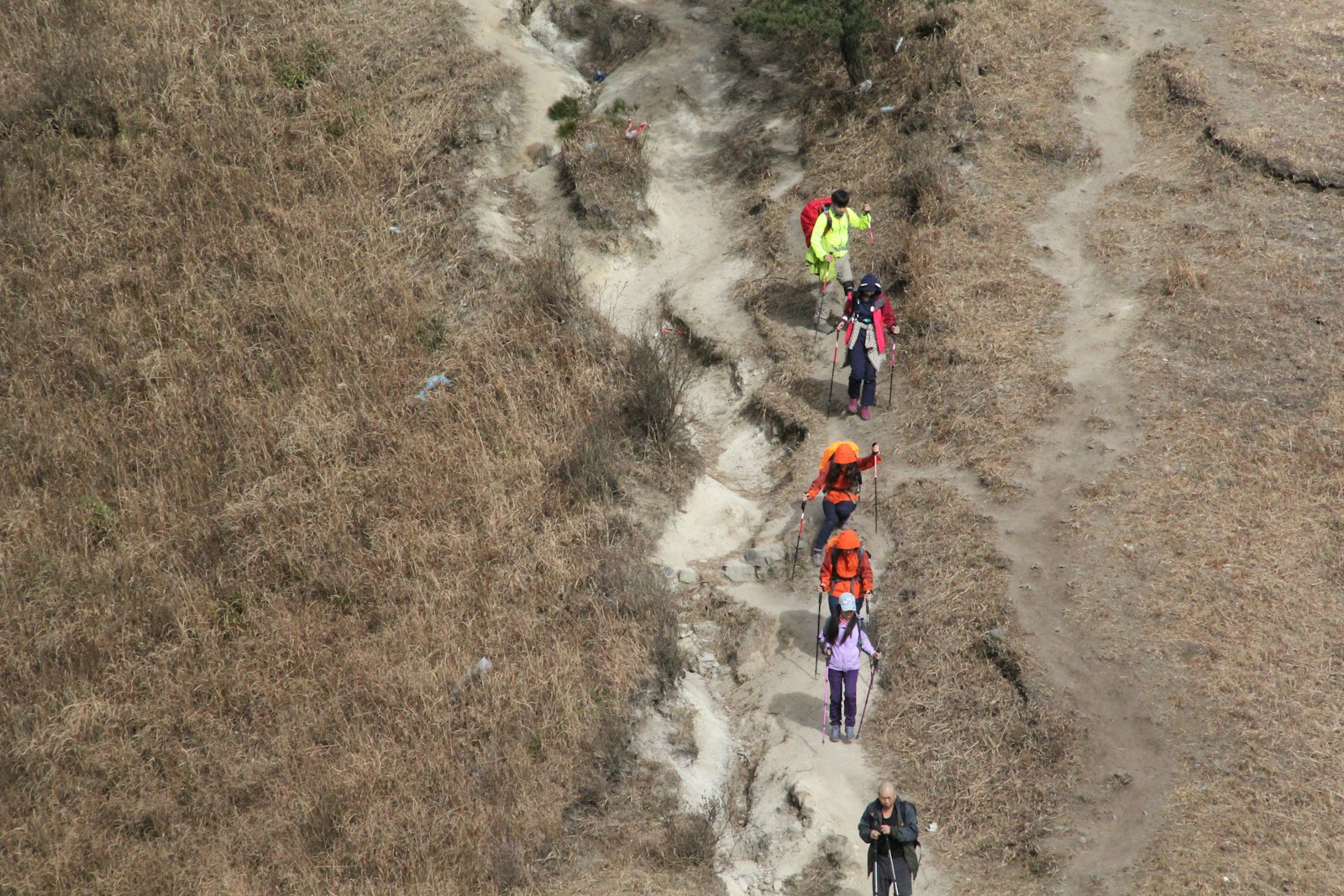 Tragic Avalanche Incident Leads to Sentencing of Hike Organizers - News