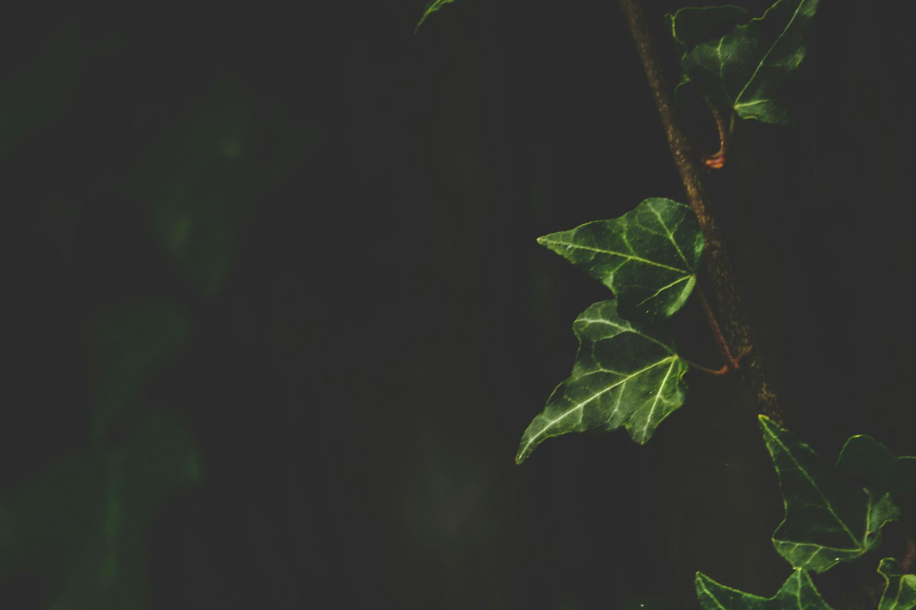 Kion Launches Original Vertical Microdramas for Streaming