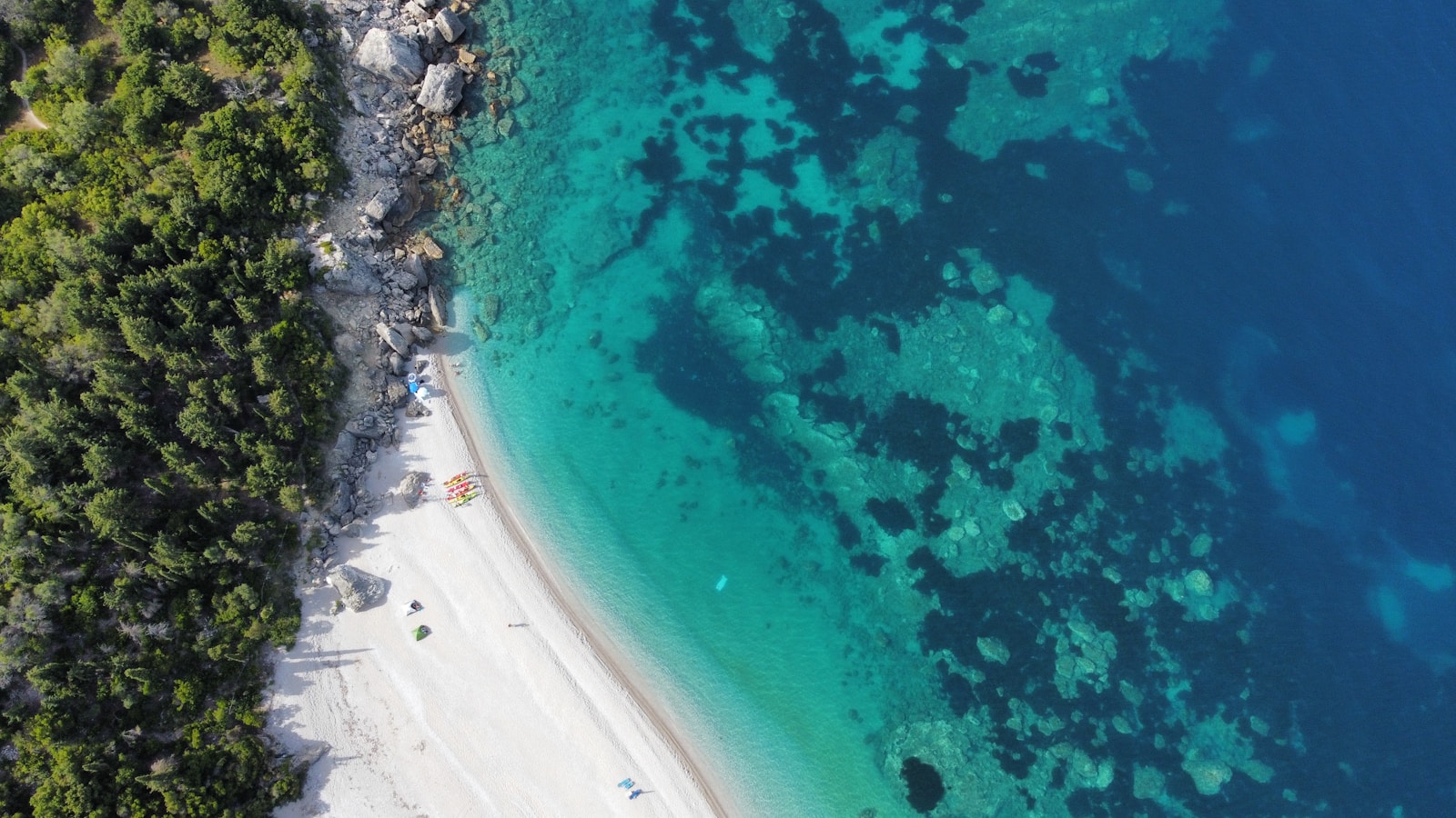 LA Designer Launches App to Generate Vacation Photos