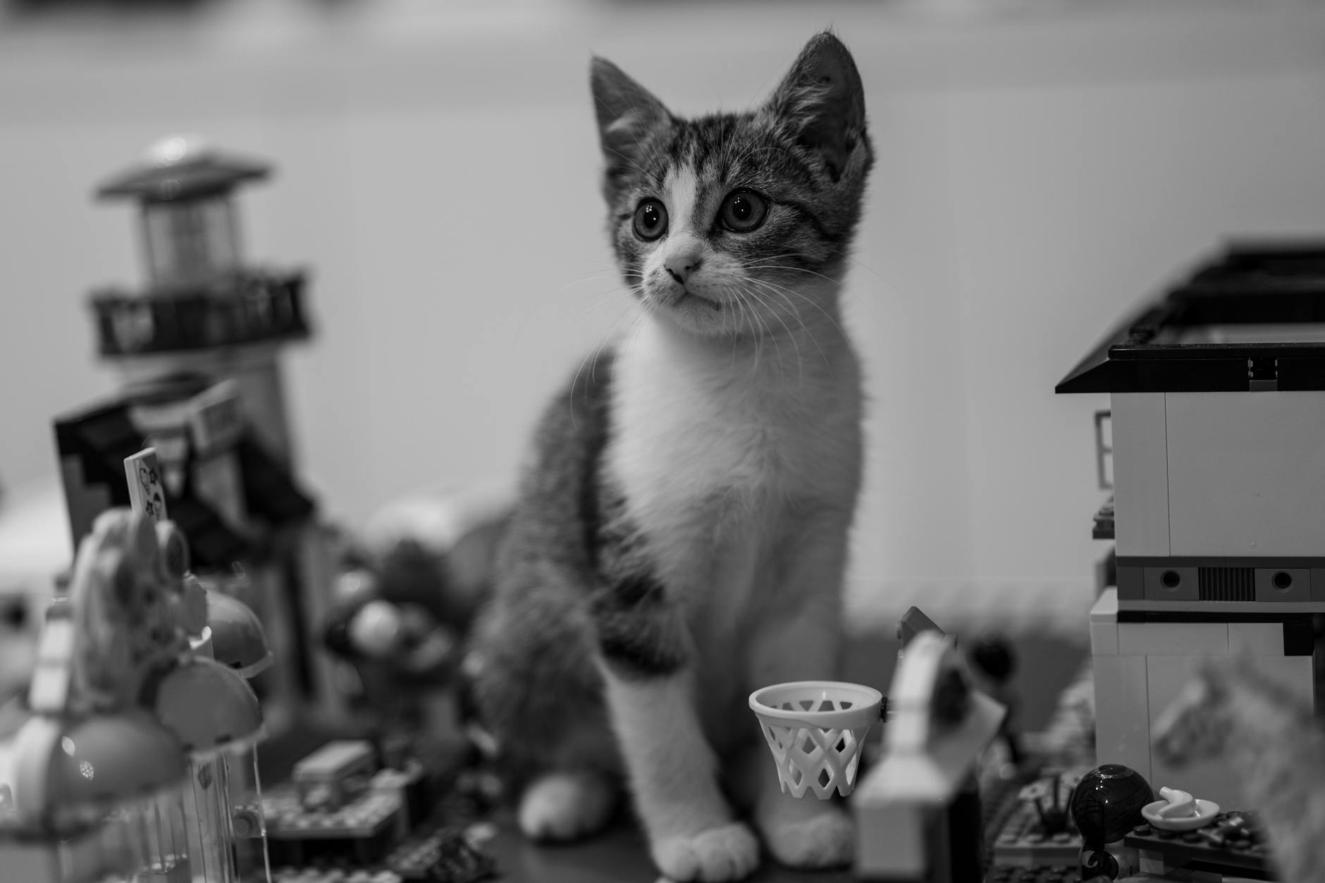 Unique LEGO Flower Sets for a Special Valentine's Day Gift | BackZee