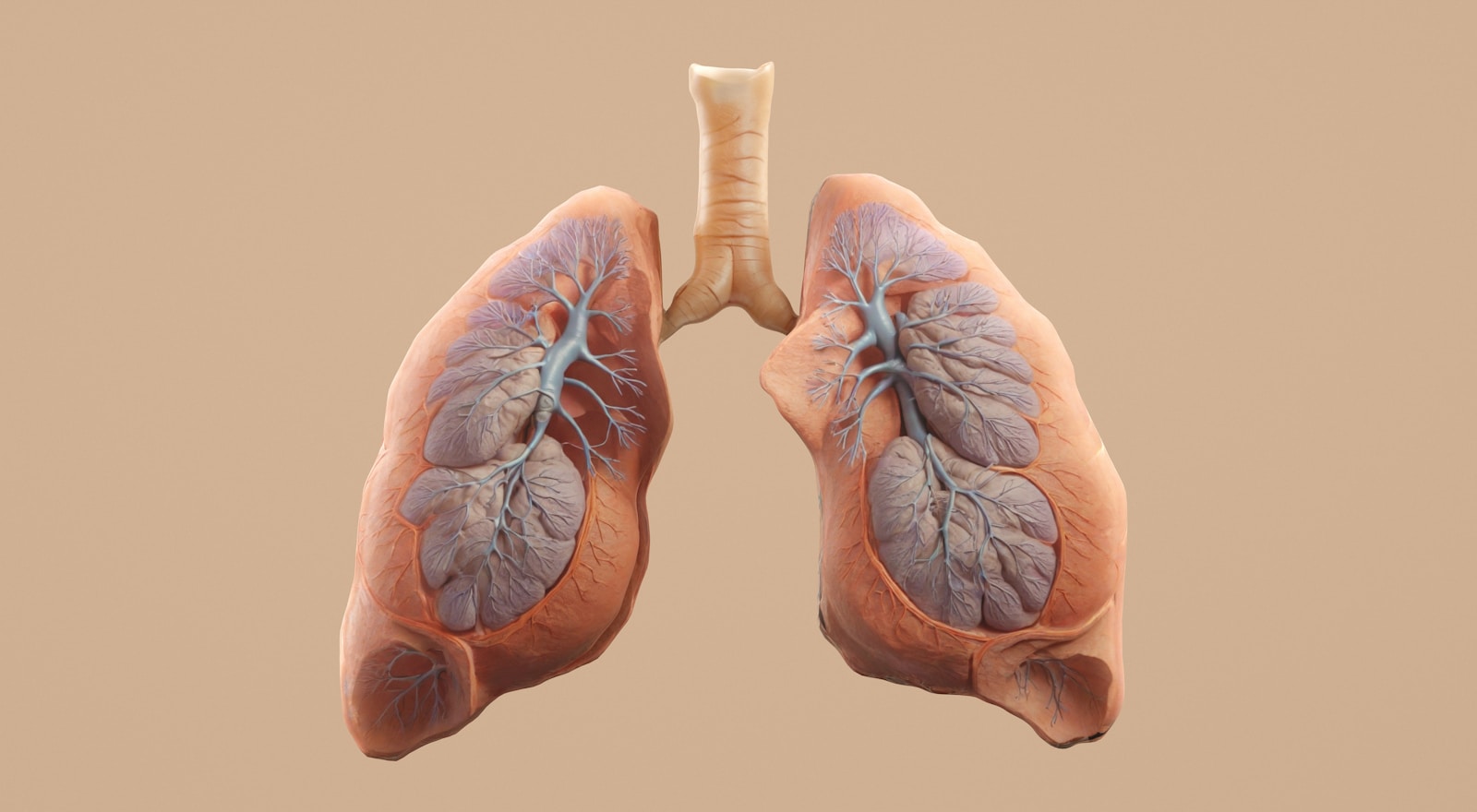 Lerchik Diagnosed with Advanced Lung Cancer: What We Know - News