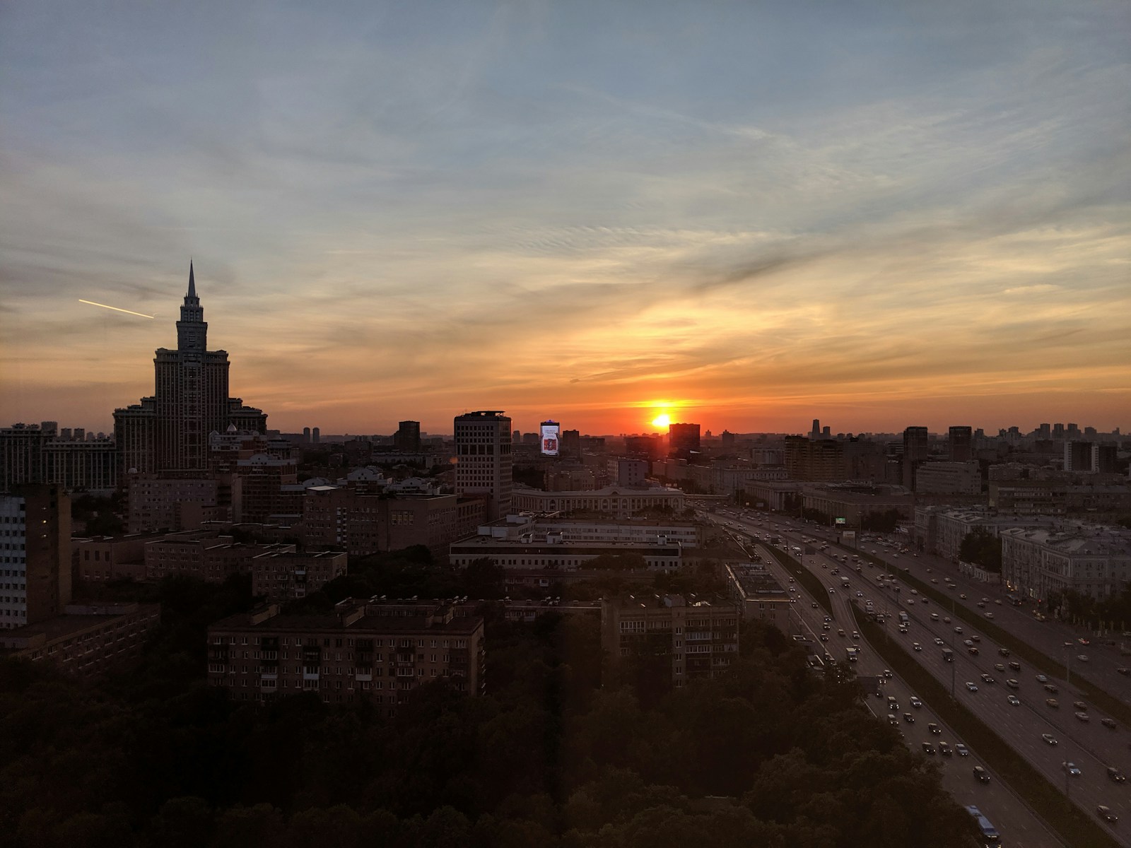 Lion Cub Rescued from Influencer's Apartment in Moscow City
