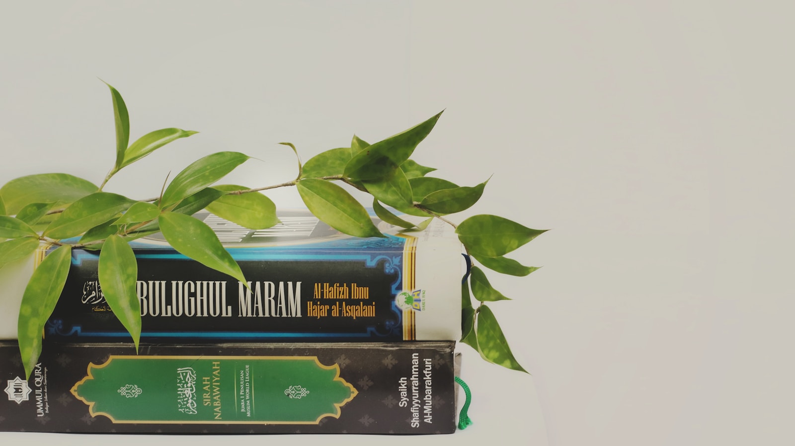 Literary Awards: Winners of the Yasnaya Polyana Prize Revealed