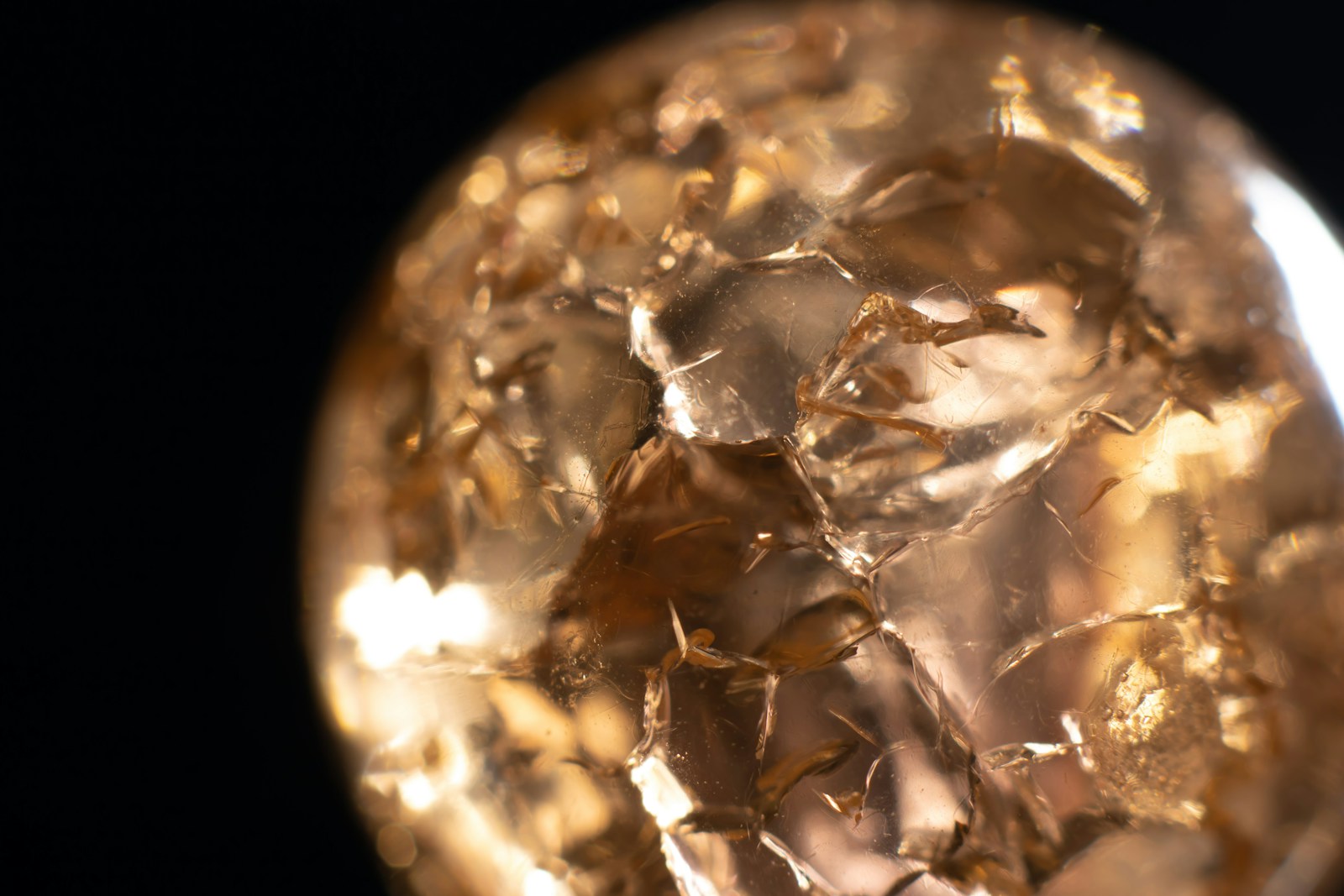 Lost Habsburg Diamond 'Florentine' Found in Canada After 100 Years