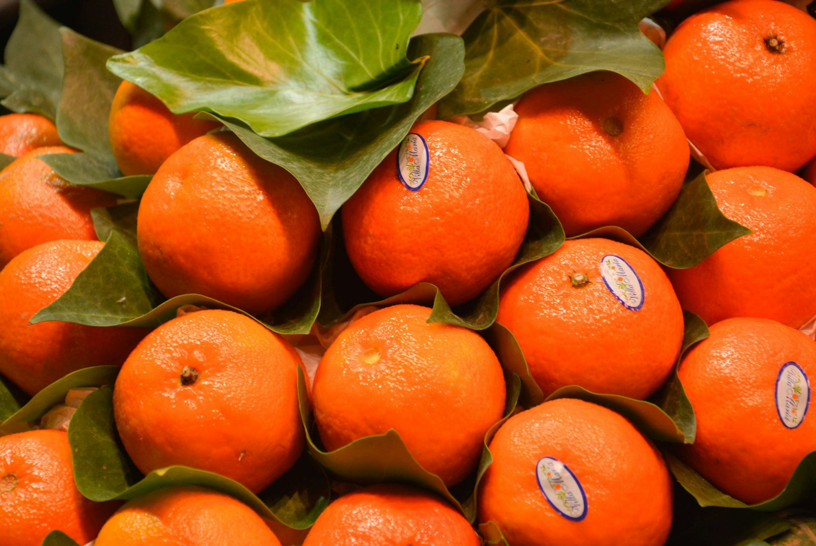 Mandarins: Health Benefits, Selection Tips, and Best Varieties