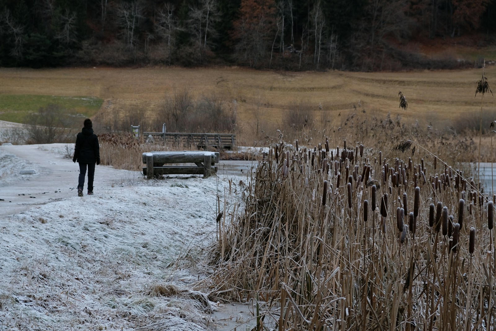 Mark Eidelshtein Stars in Debut Teaser for Thriller 'The Abyss' - Cinema