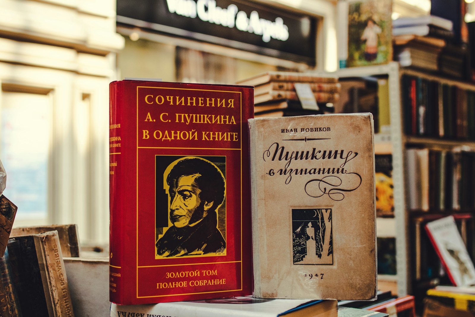 Mary Shelley's Late Novel 'Faulkner' Now Available in Russian