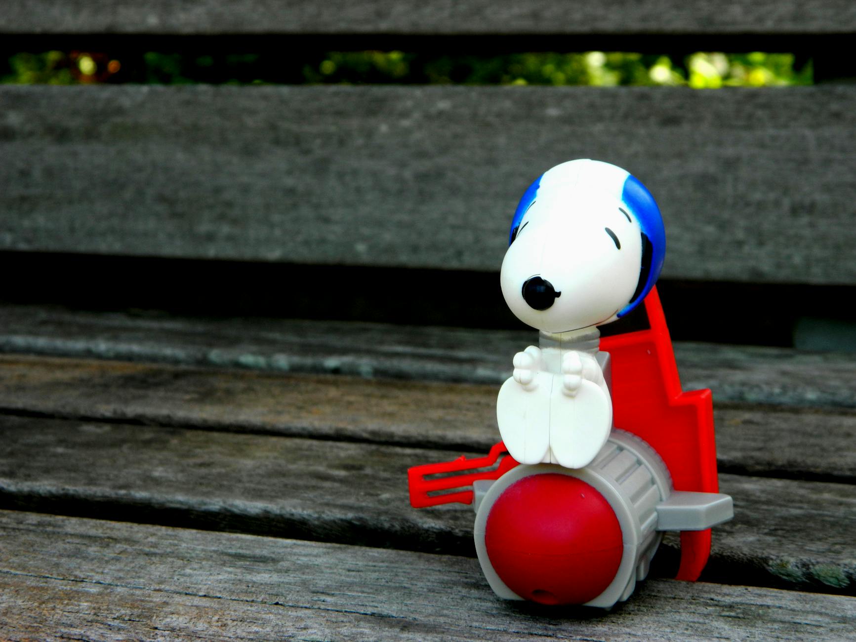 Meet Andrey: The Blue Dog Taking TikTok by Storm - Hot