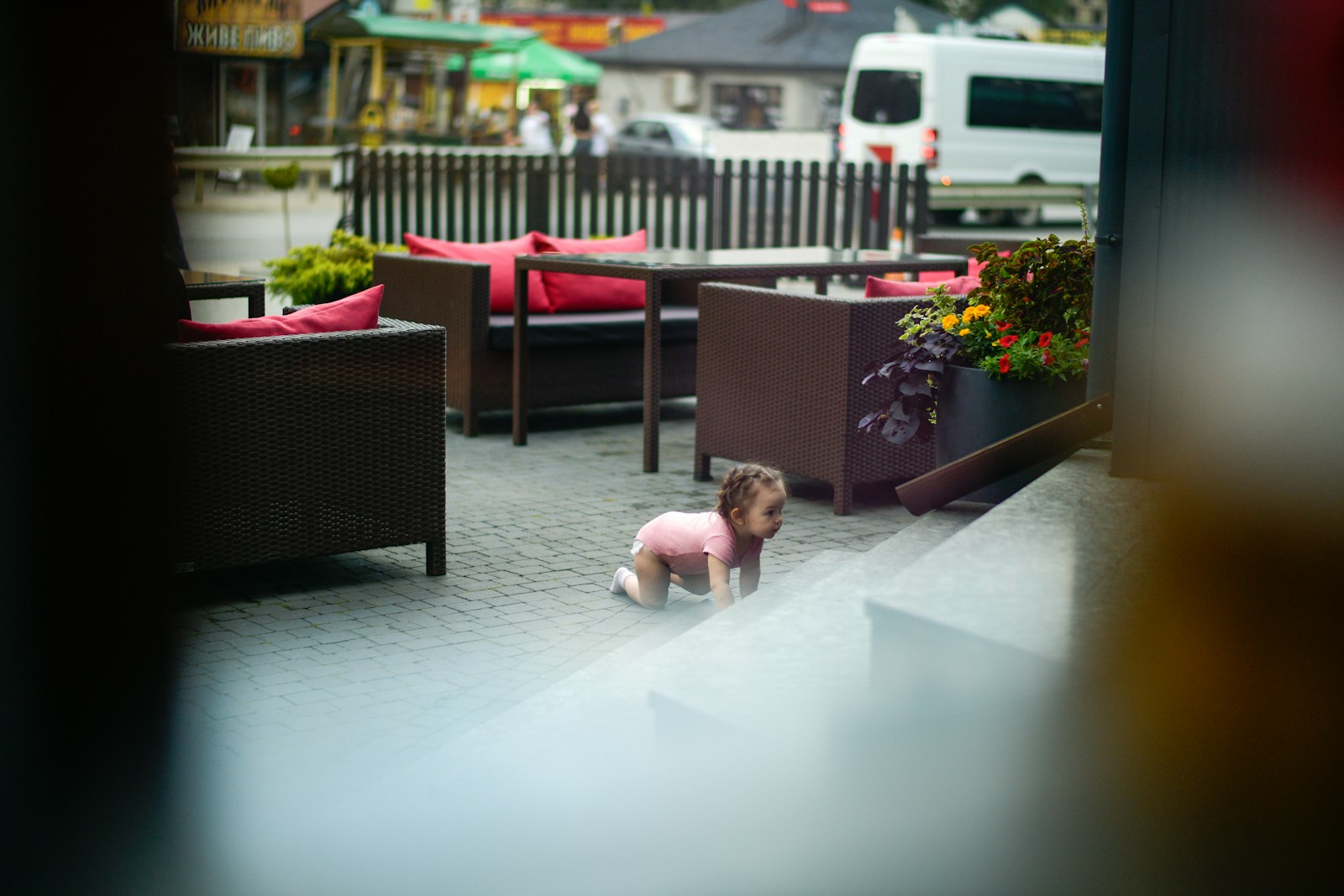 Mini-Pigs Work Overtime at Yaroslavl Anti-Cafe Without Break Rooms - Lifestyle