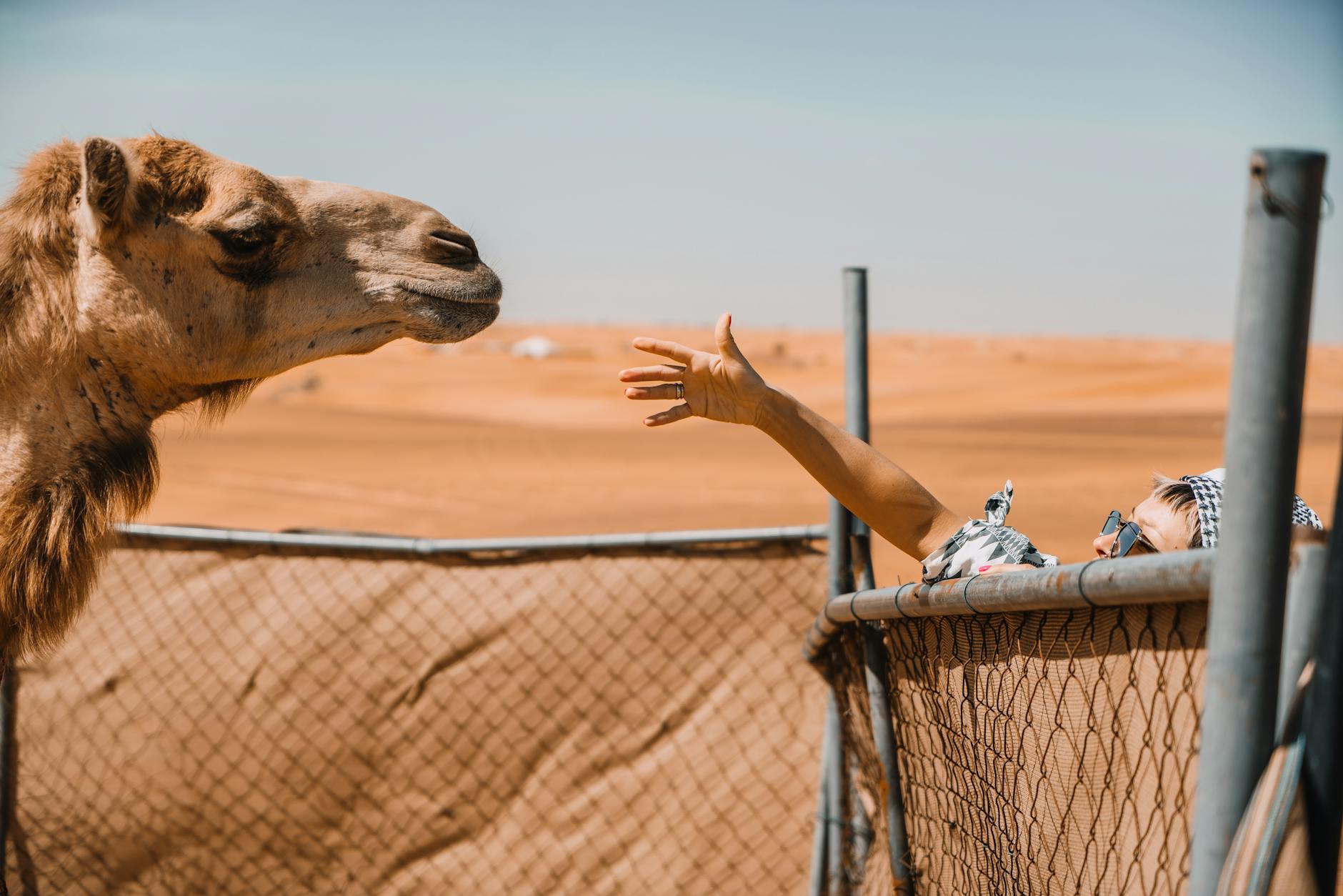 Mius Snow Dune Reaches 6 Meters, Attracts Over 25,000 Visitors