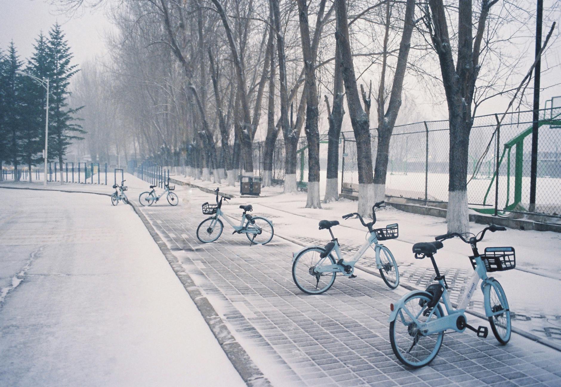 Moscow Delays Bike and Scooter Rentals Due to Cold Winter Weather - Lifestyle