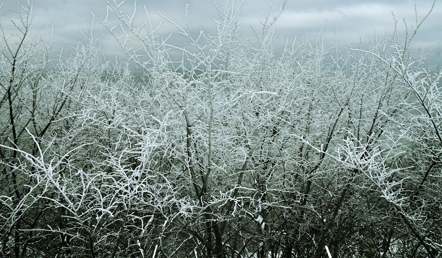 Moscow's Weather Shift: Cold Snap Expected on February 15 - News