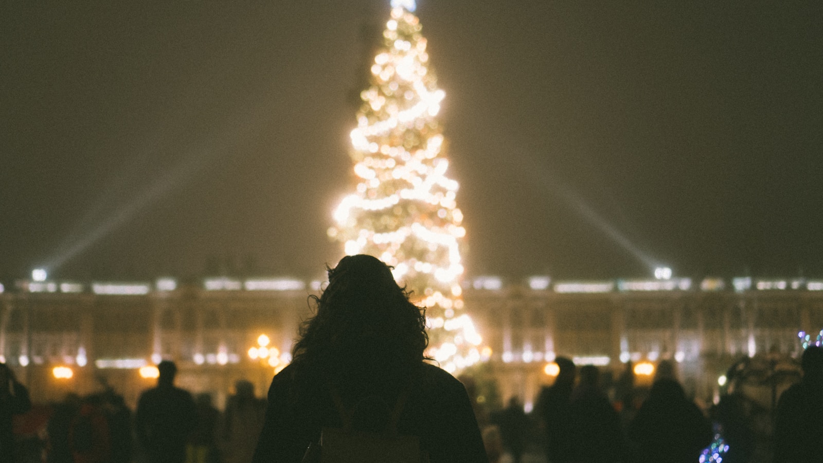 Moscow's Gorky Park Welcomes Christmas Spirit Early with Tree