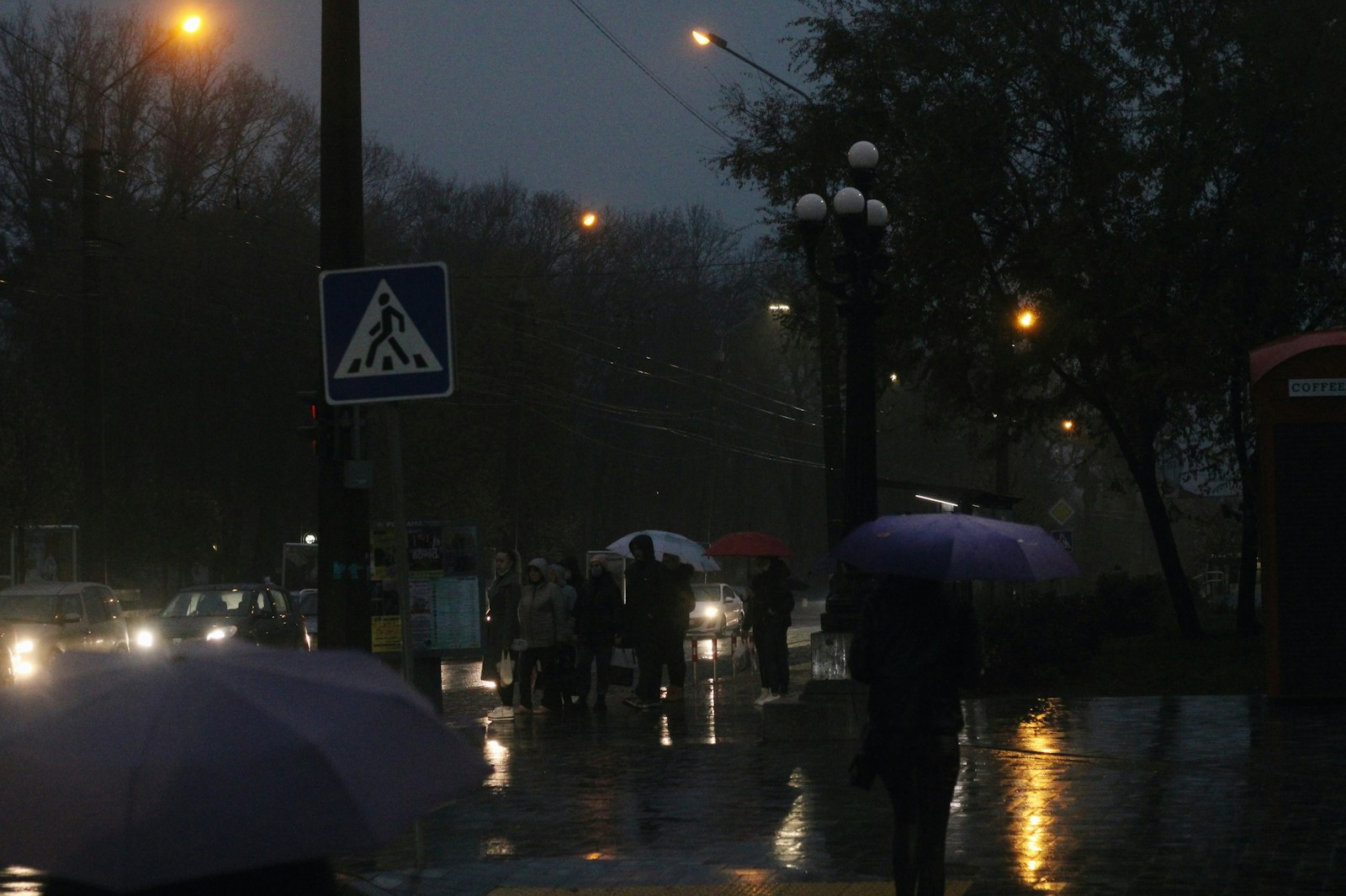 Moscow Braces for Heavy Rain: Up to 40% of Monthly Norm Expected
