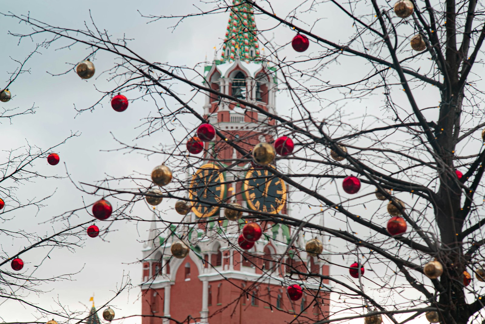 Moscow Kicks Off Holiday Tree Recycling Initiative