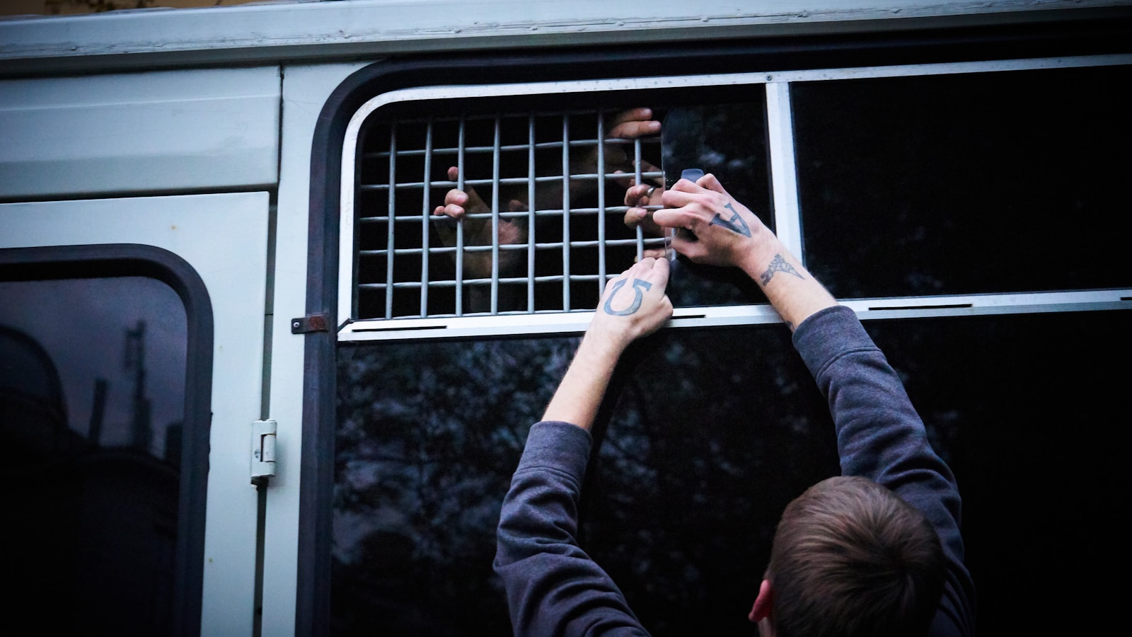 Moscow's Feathered Escape Artist Captured After Three Months