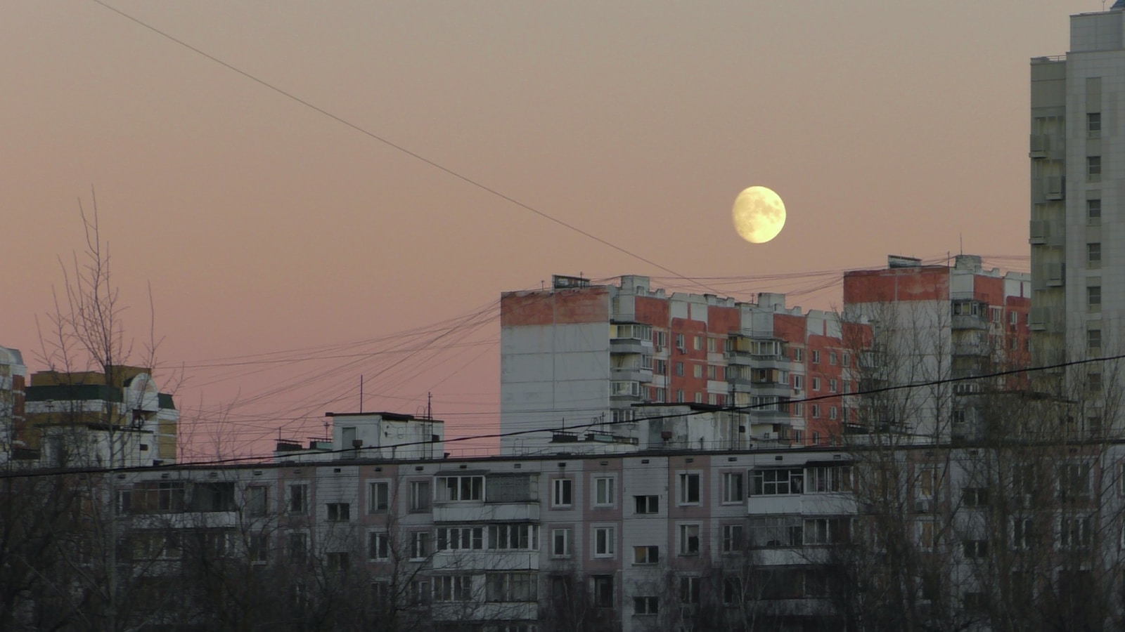 Moscow to Showcase the 'Planet of Love' This Valentine's Day - Adult