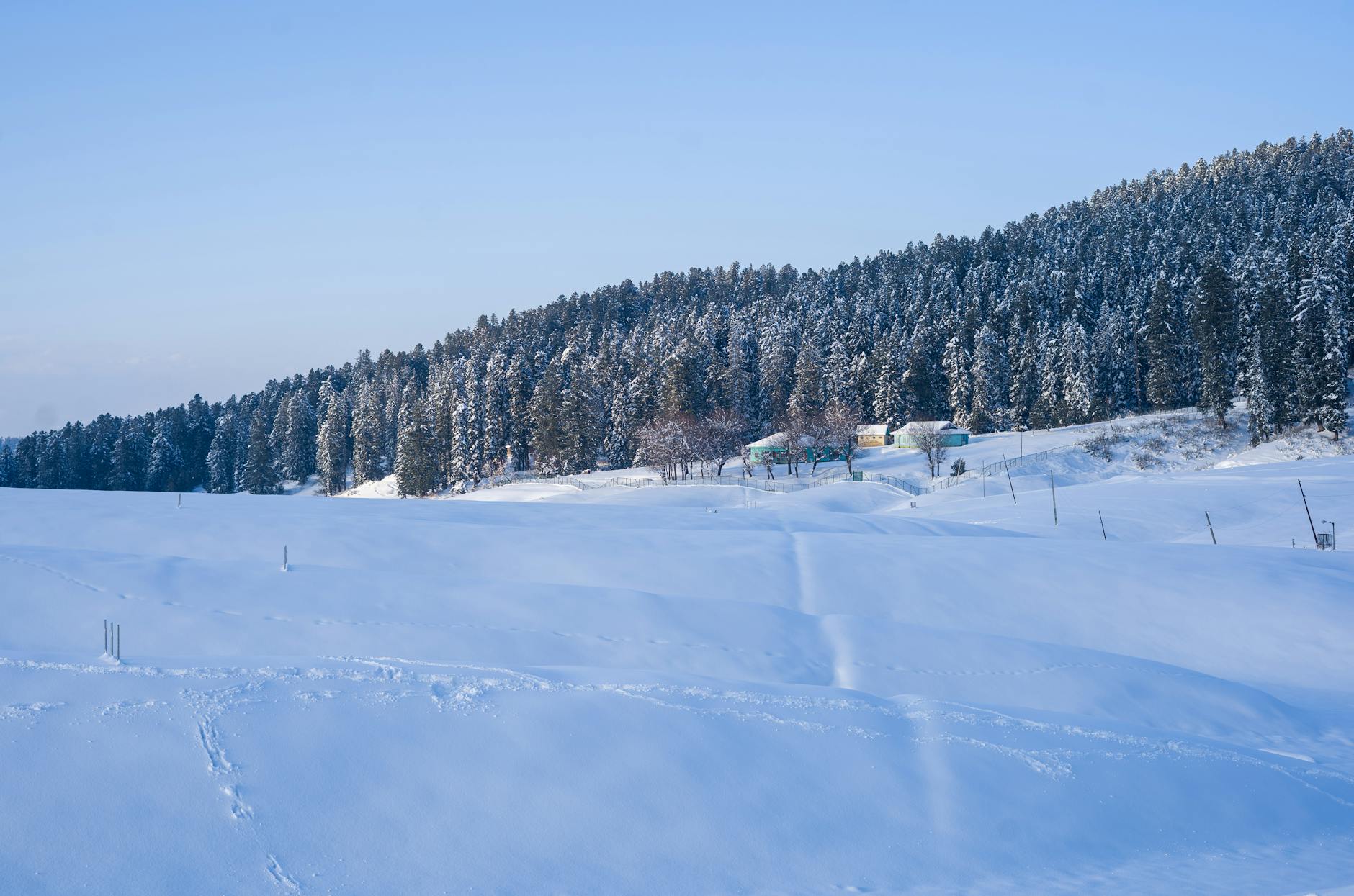 Moscow Sets Record with 80cm Snowdrifts: A Winter Wonderland - News