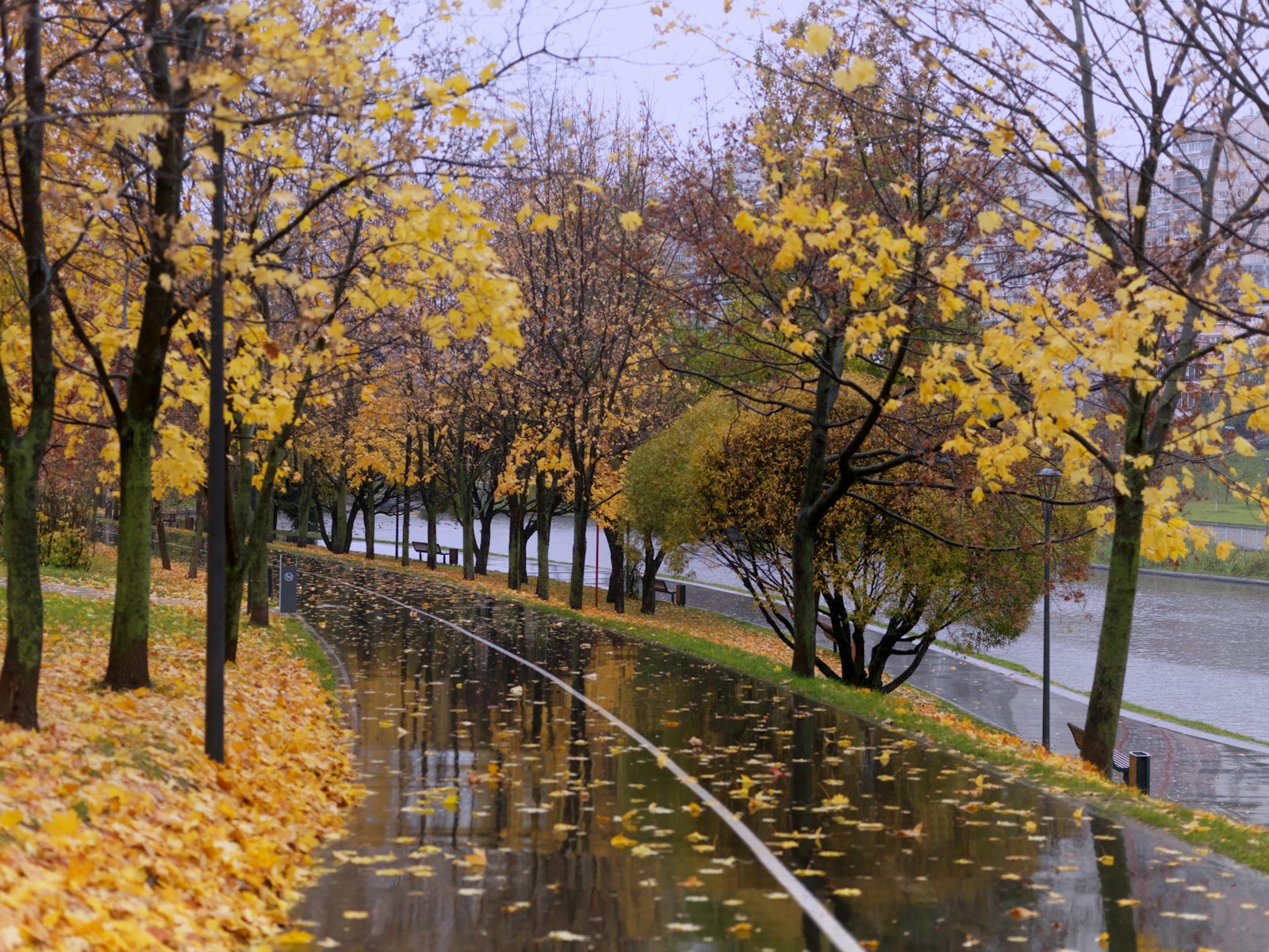 Moscow's Weather: Rainy Start, Sunny Finish for November Week
