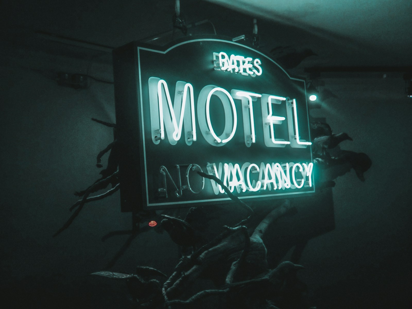 New Spin-Off 'Motel Transylvania' Set to Debut in 2027