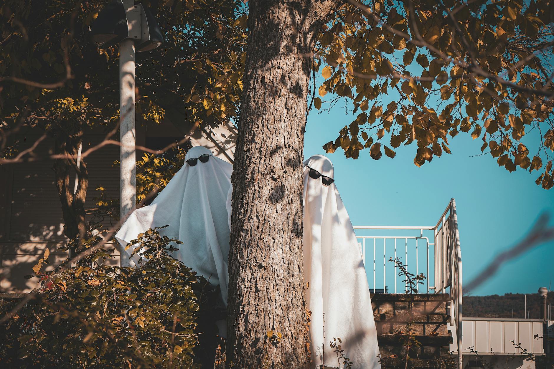Neighborly Feuds: When Ghost Sounds Become a Daily Revenge Tactic - News