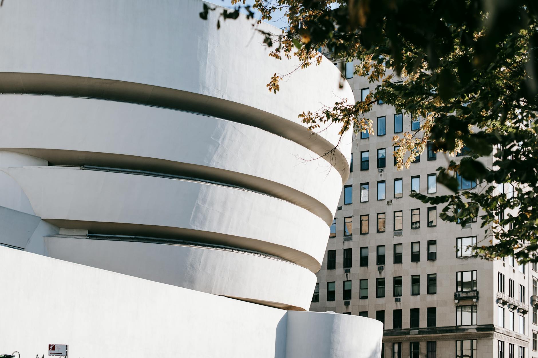 New Contemporary Art Museum Opens in New York City - News