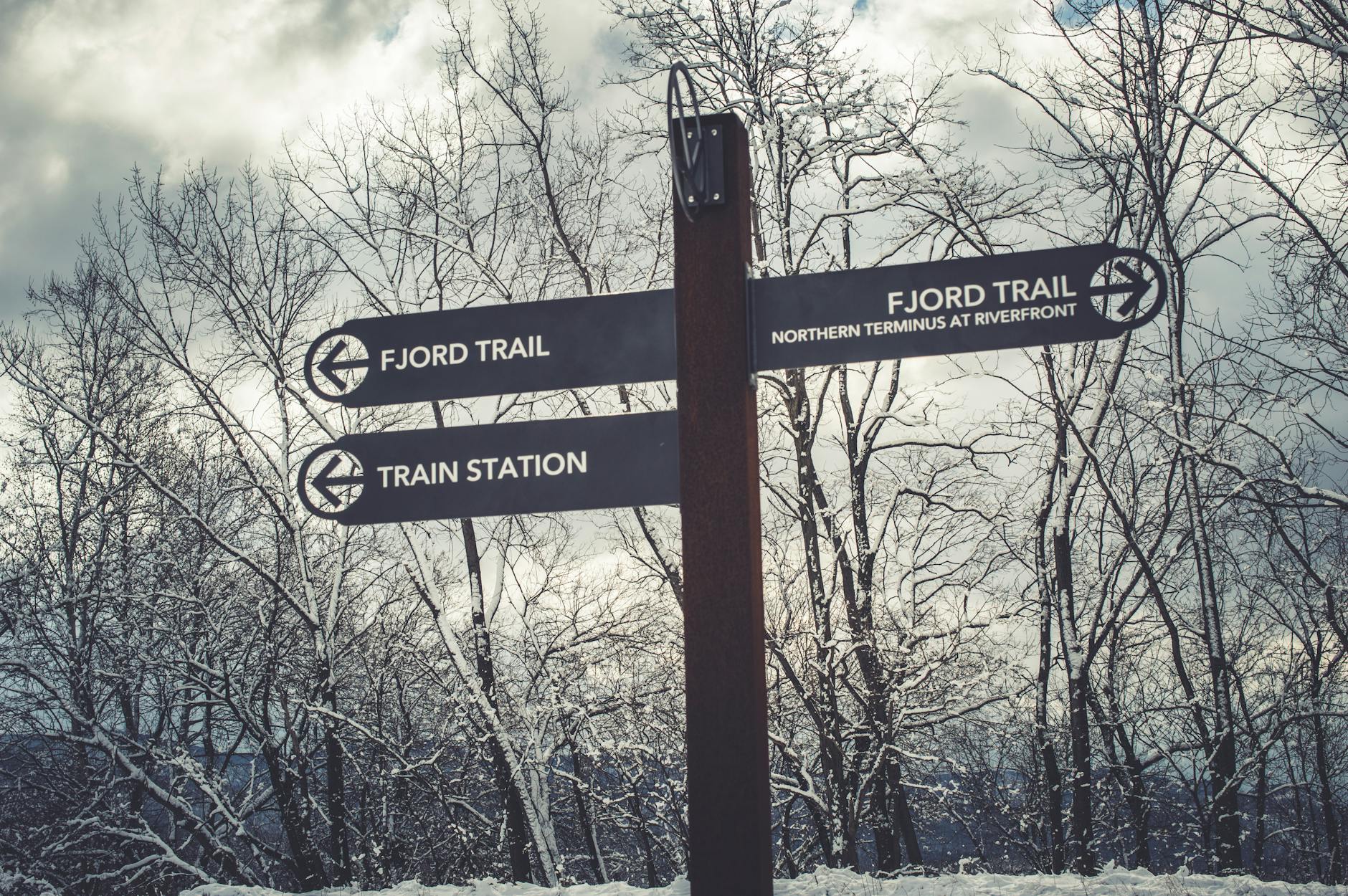 New Ski Trails Open at Moscow's Northern River Station - Lifestyle