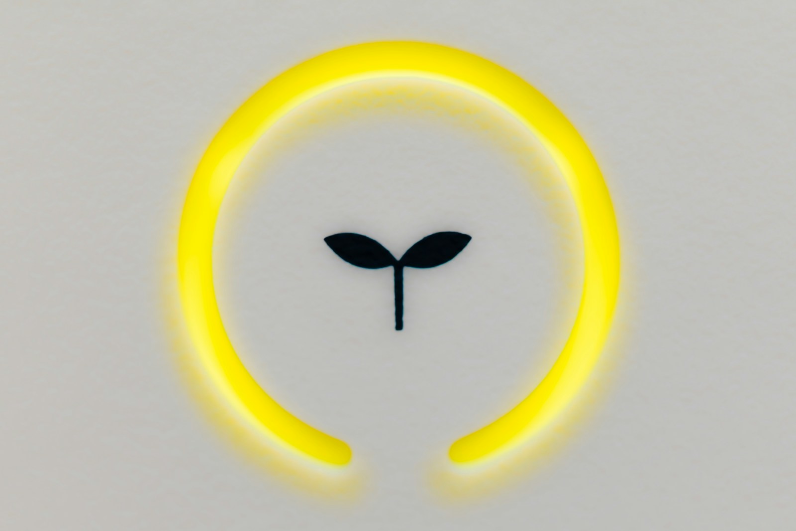 New Symbol in Pokémon Onda and Vento Logos Hints at Gameplay Change - Game