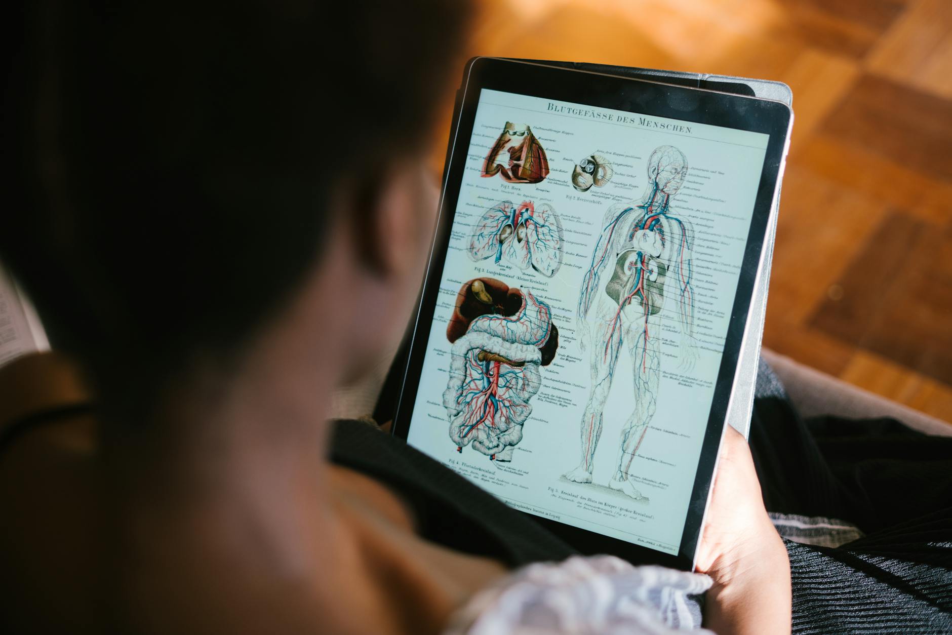 New University Education Model Launching in 2027: What to Expect