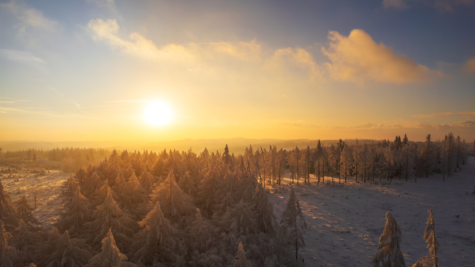 No More Warm Days Ahead: Russia's Weather Forecast for 2025