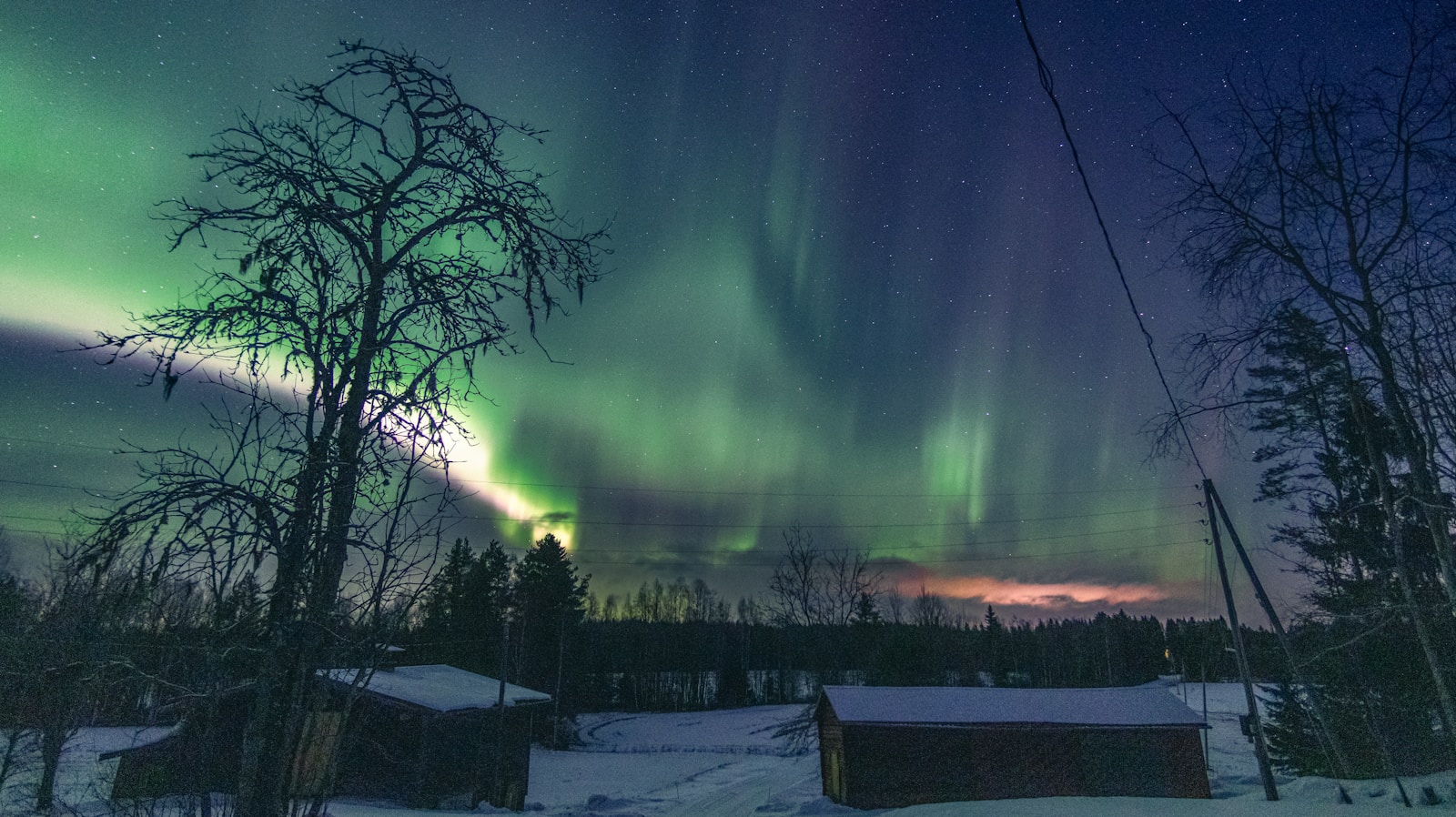 Northern Lights Dazzle Across Multiple Regions in Russia