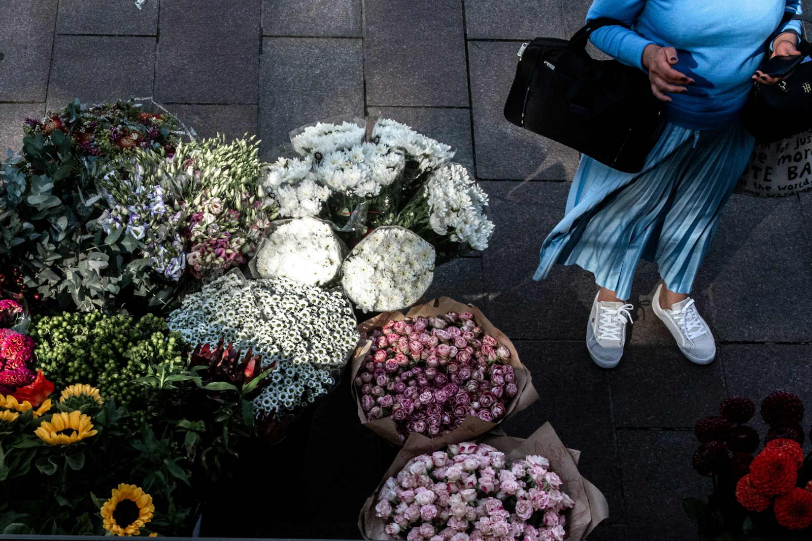 Unexpected November Blooms: Rare Flowers Thrive in Moscow's Warmth