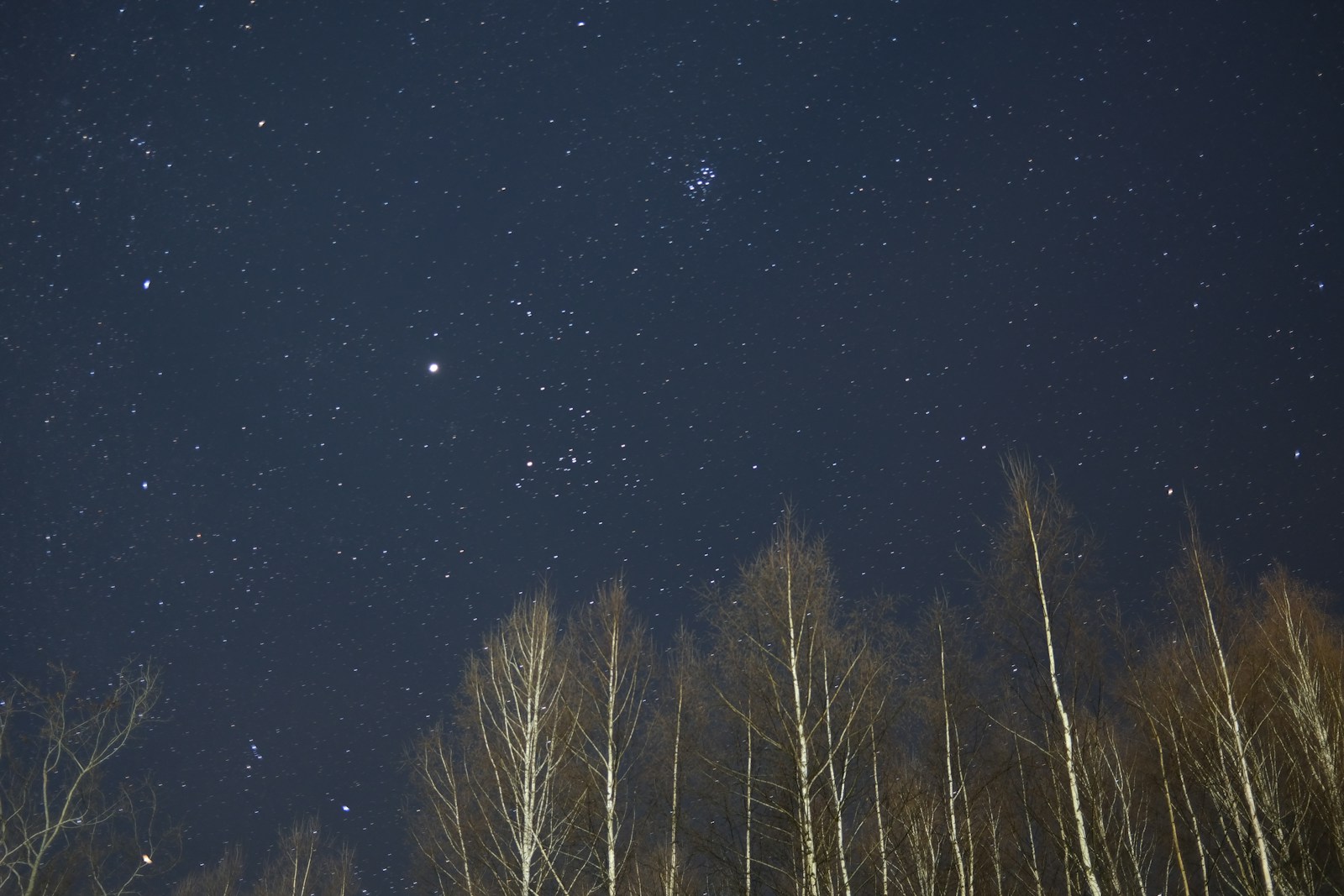 November Brings Stunning Leonid Meteor Shower to Russia