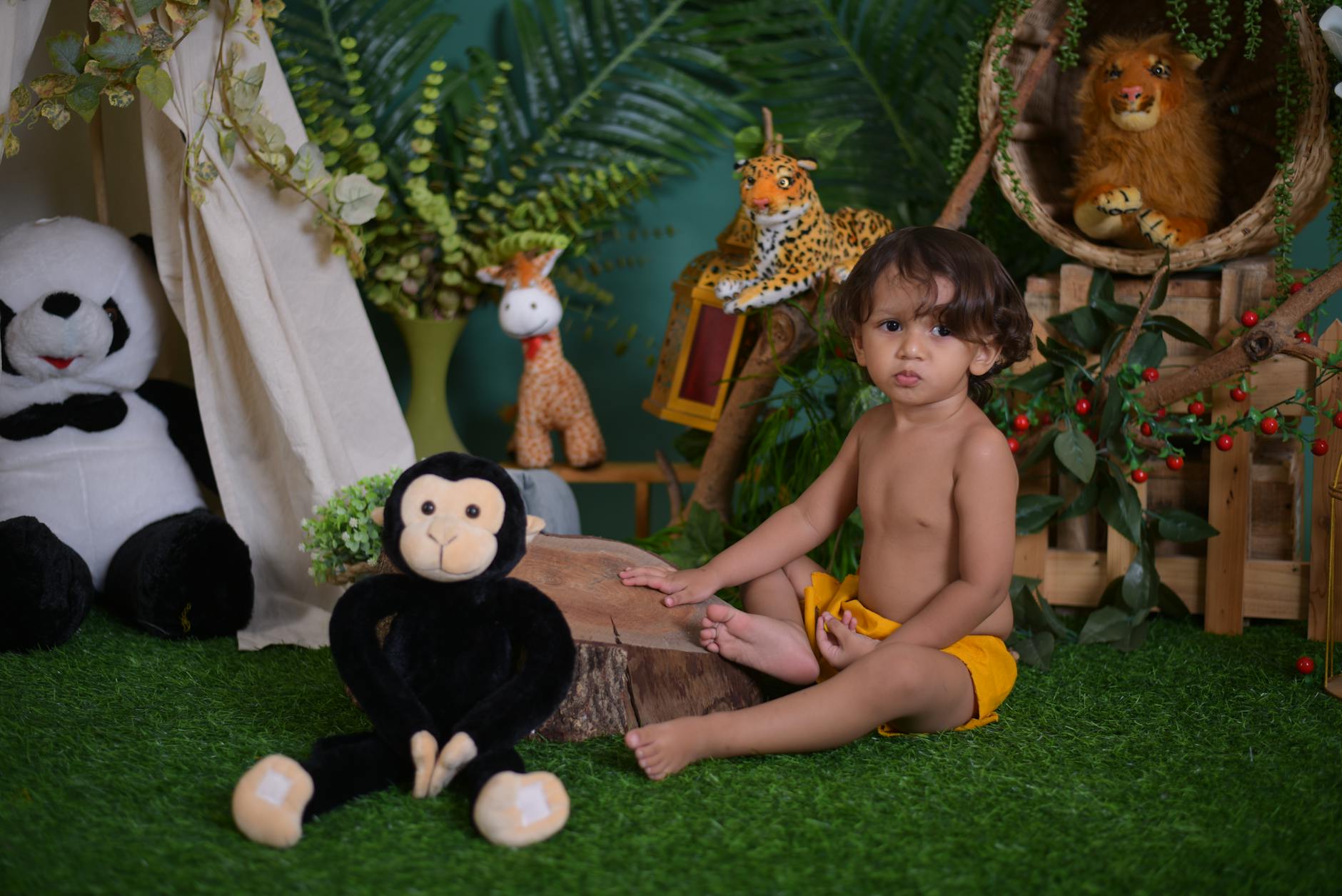 Meet Panch: The Baby Monkey Finding Friendship with a Plush Toy - Lifestyle