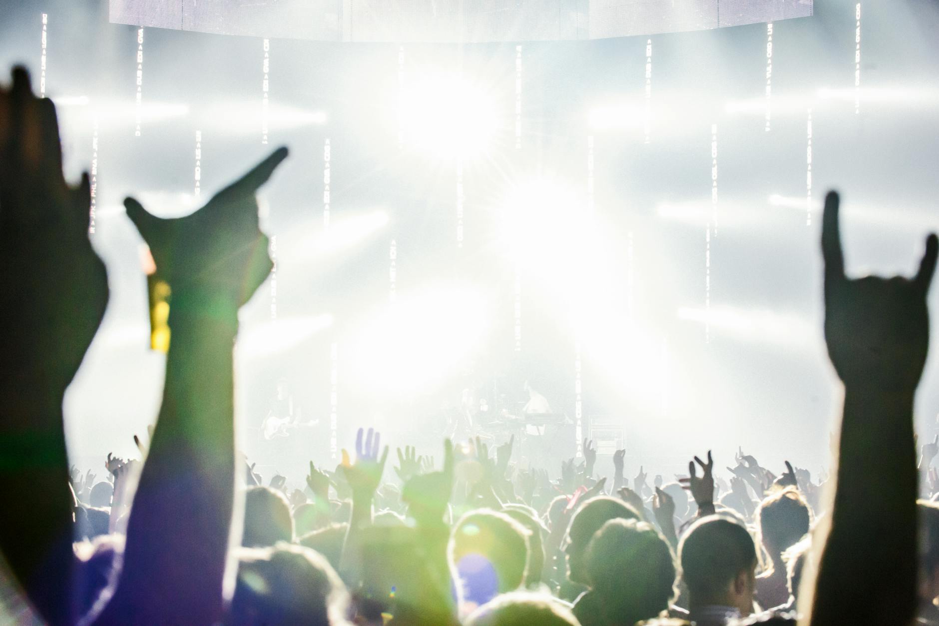 Pitbull to Rock London Festival with Bald Audience Record Attempt - Music
