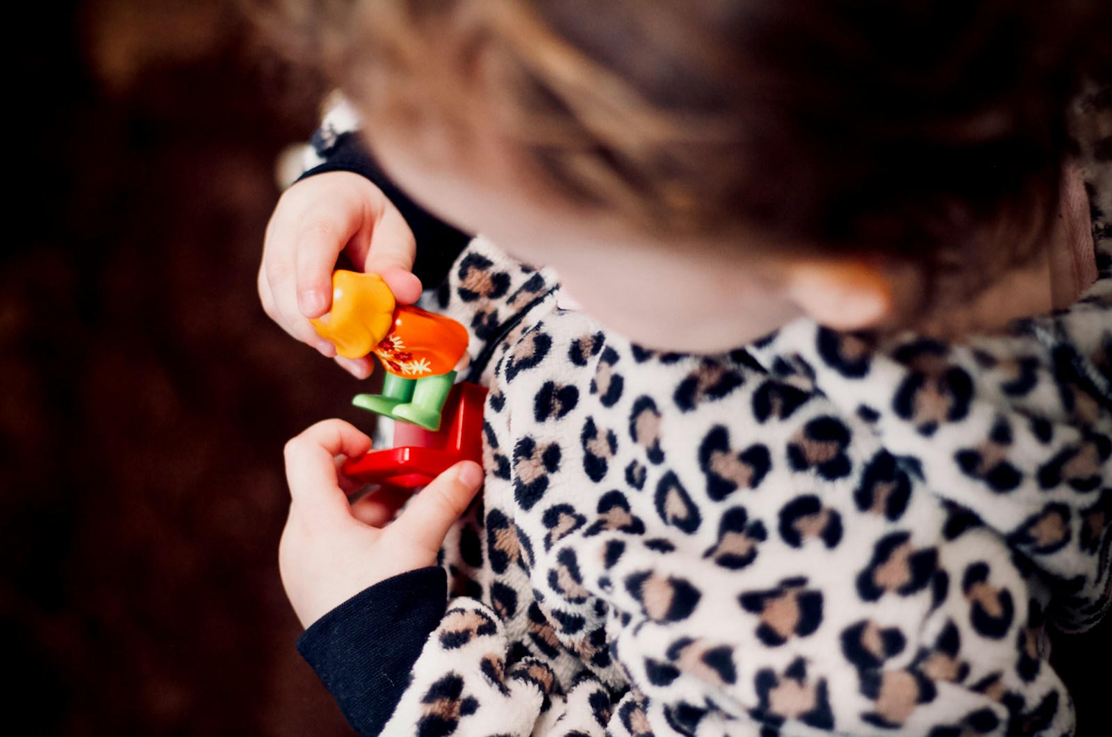 Discover Playmobil's Adult Collectibles on Sale Now! - Cinema