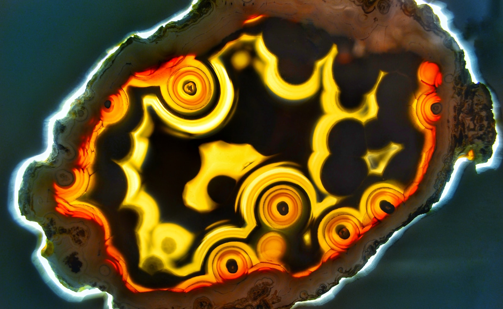 5 Exciting Features of Pokémon Vento e Onda Revealed! - Game