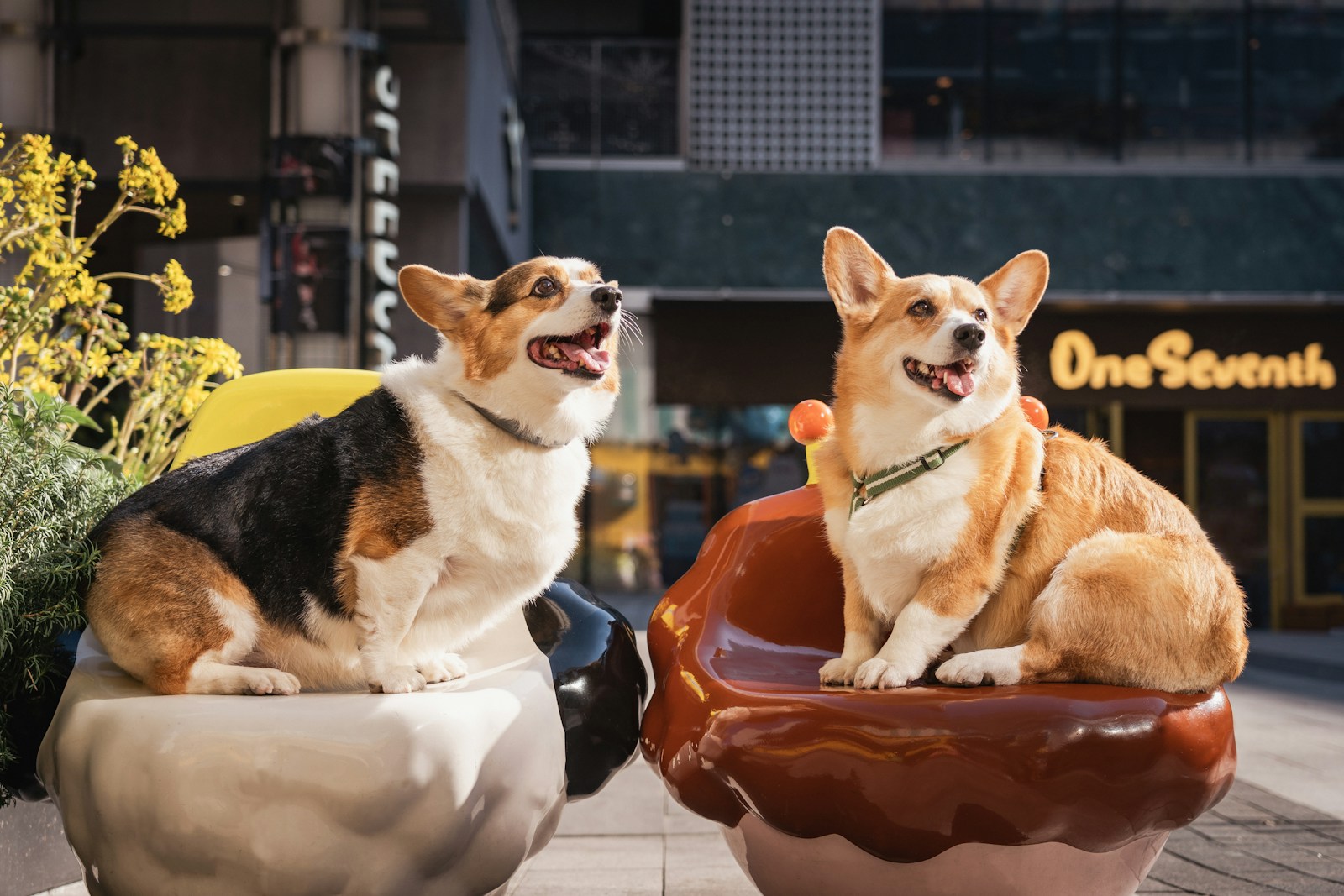 Paw-some Ratings: 15.3 Million Tune in for Puppy Bowl Extravaganza - Lifestyle