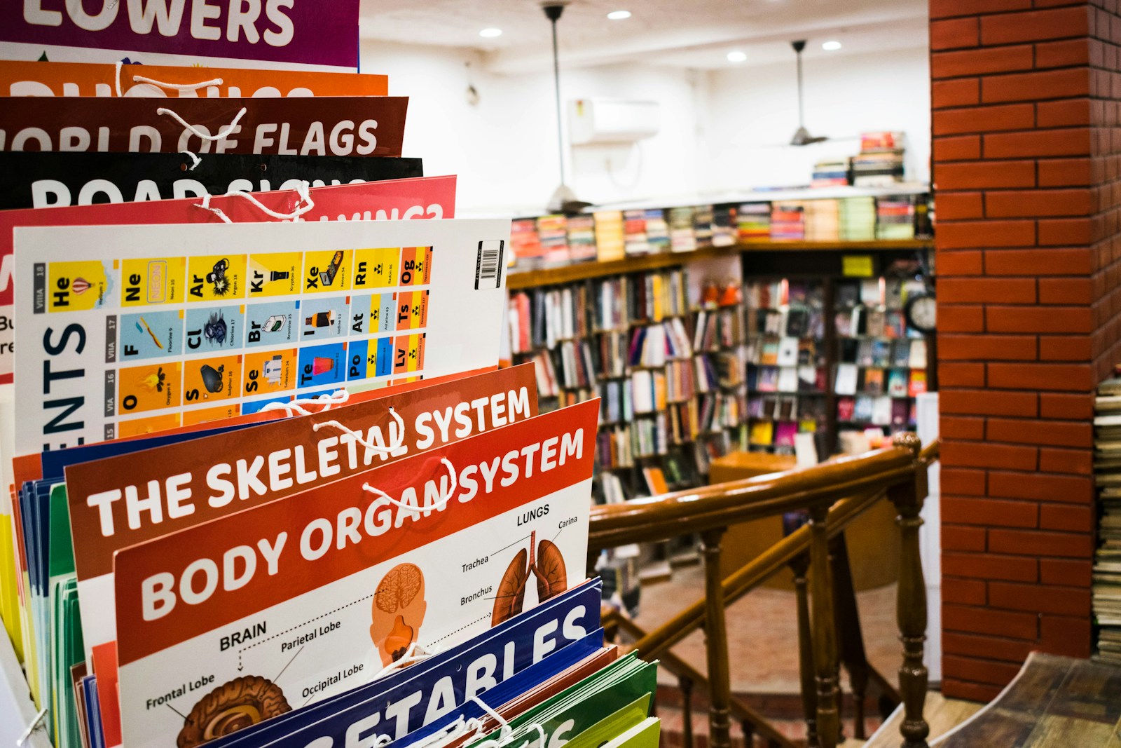Putin Signs Law to Support Bookstores and Cultural Events - News