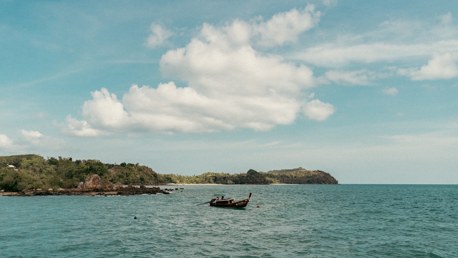 Rachel McAdams Stuck with Her Boss on an Island in New Trailer