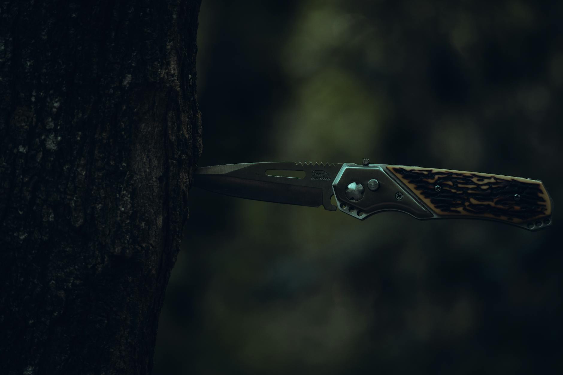New Trailer Drops for 'Return to Silent Hill' Horror Film