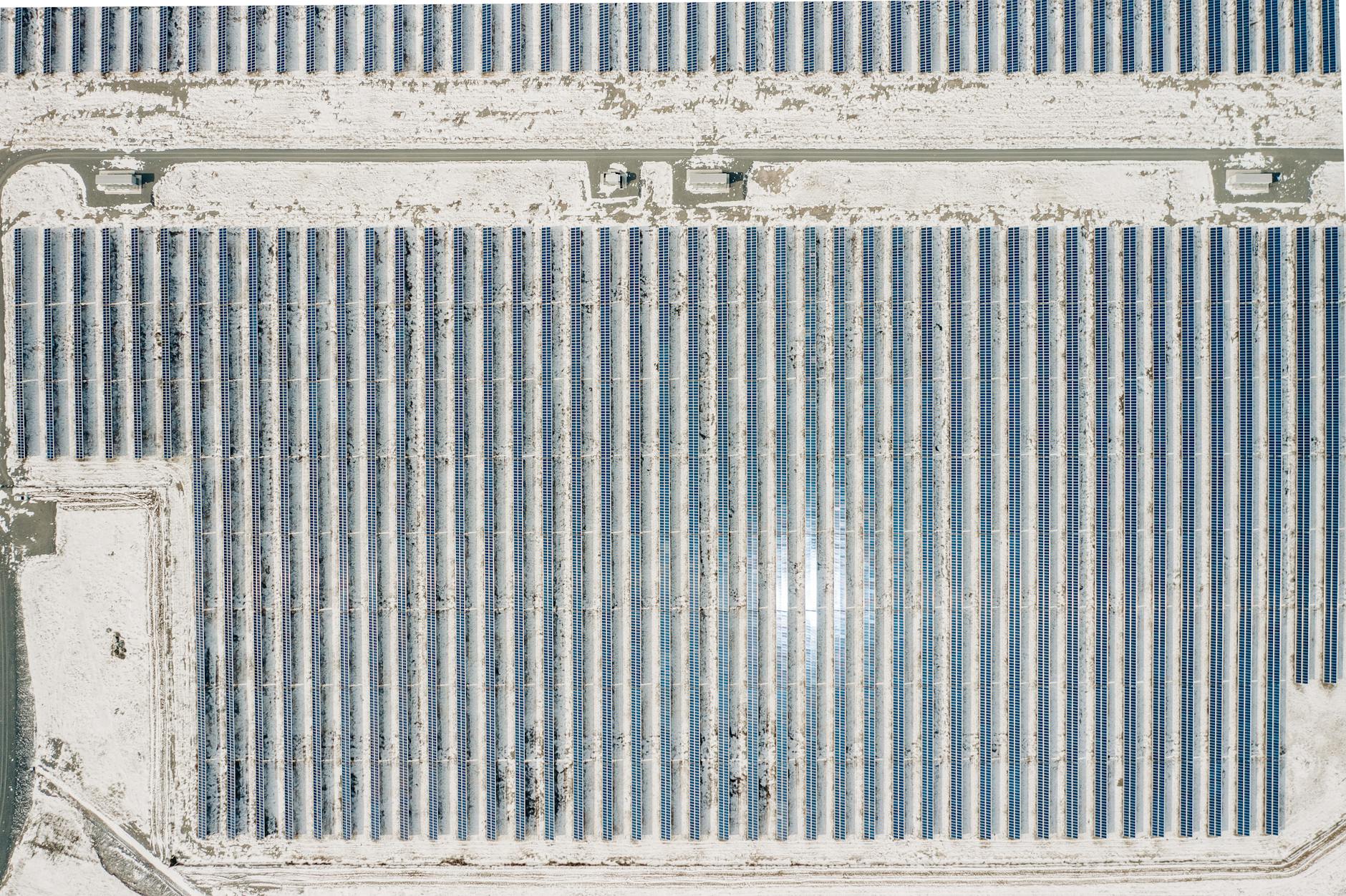 Russia Unveils Bio-Drone Pigeons: A New Era in Tech Innovation